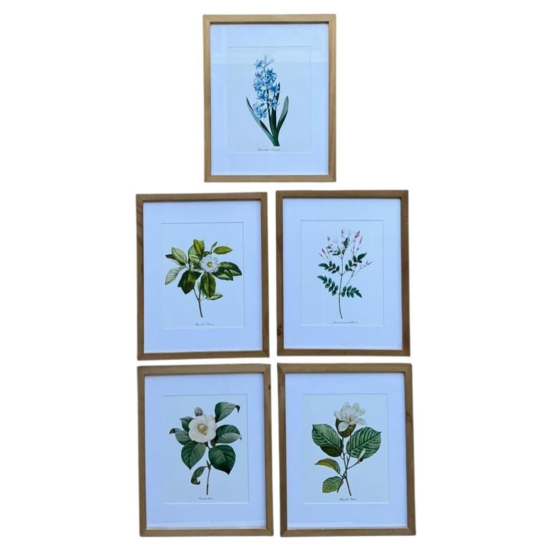 Vintage-Drucke mit botanischen Blumenmotiven in Holzrahmen – 5er-Set