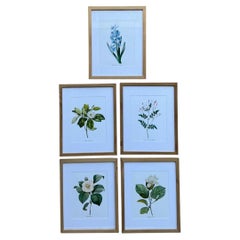 Vintage Botanical Floral Prints in Wood Frames - Set of 5