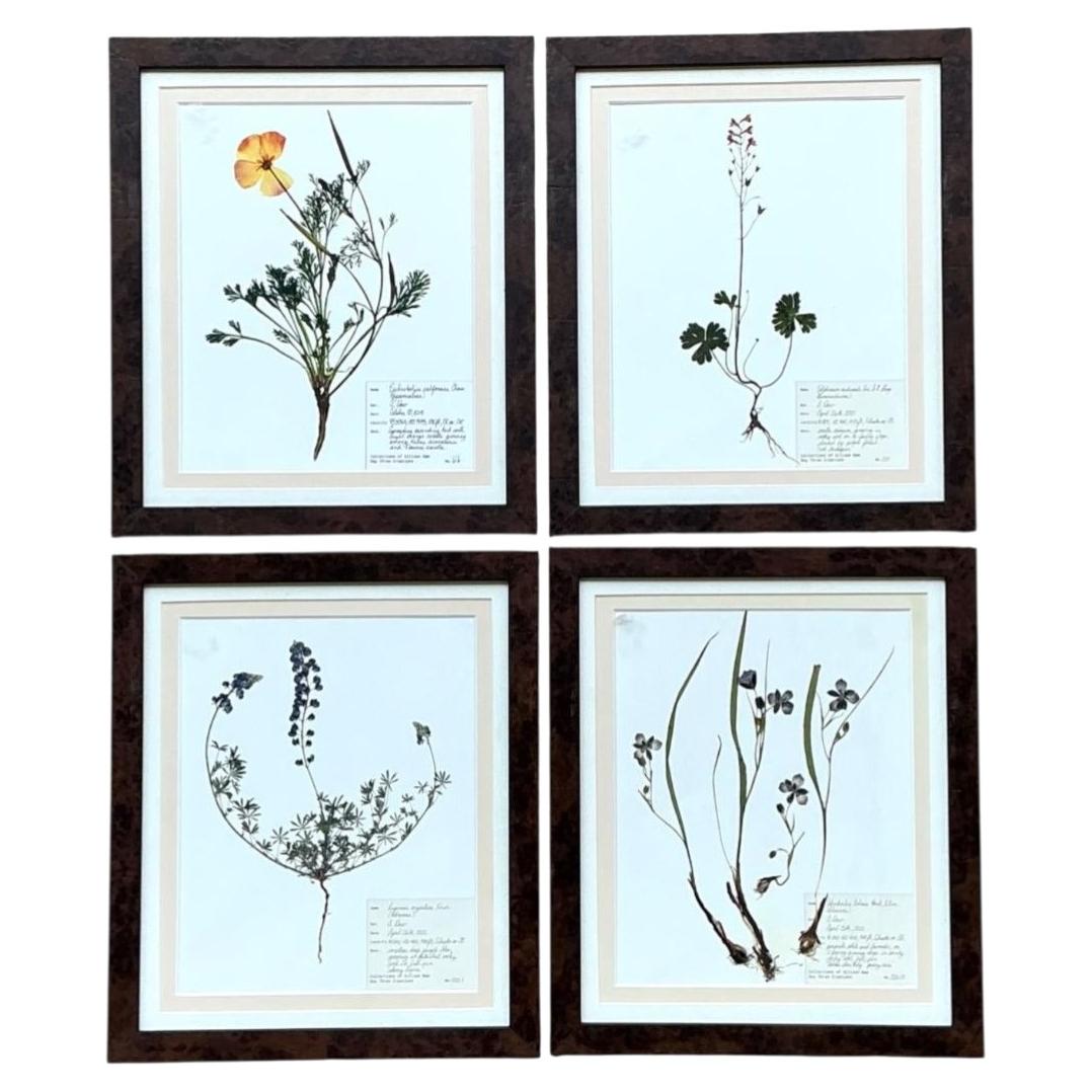 Vintage Botanical Herbarium Prints in Wood Frames - Set of 4