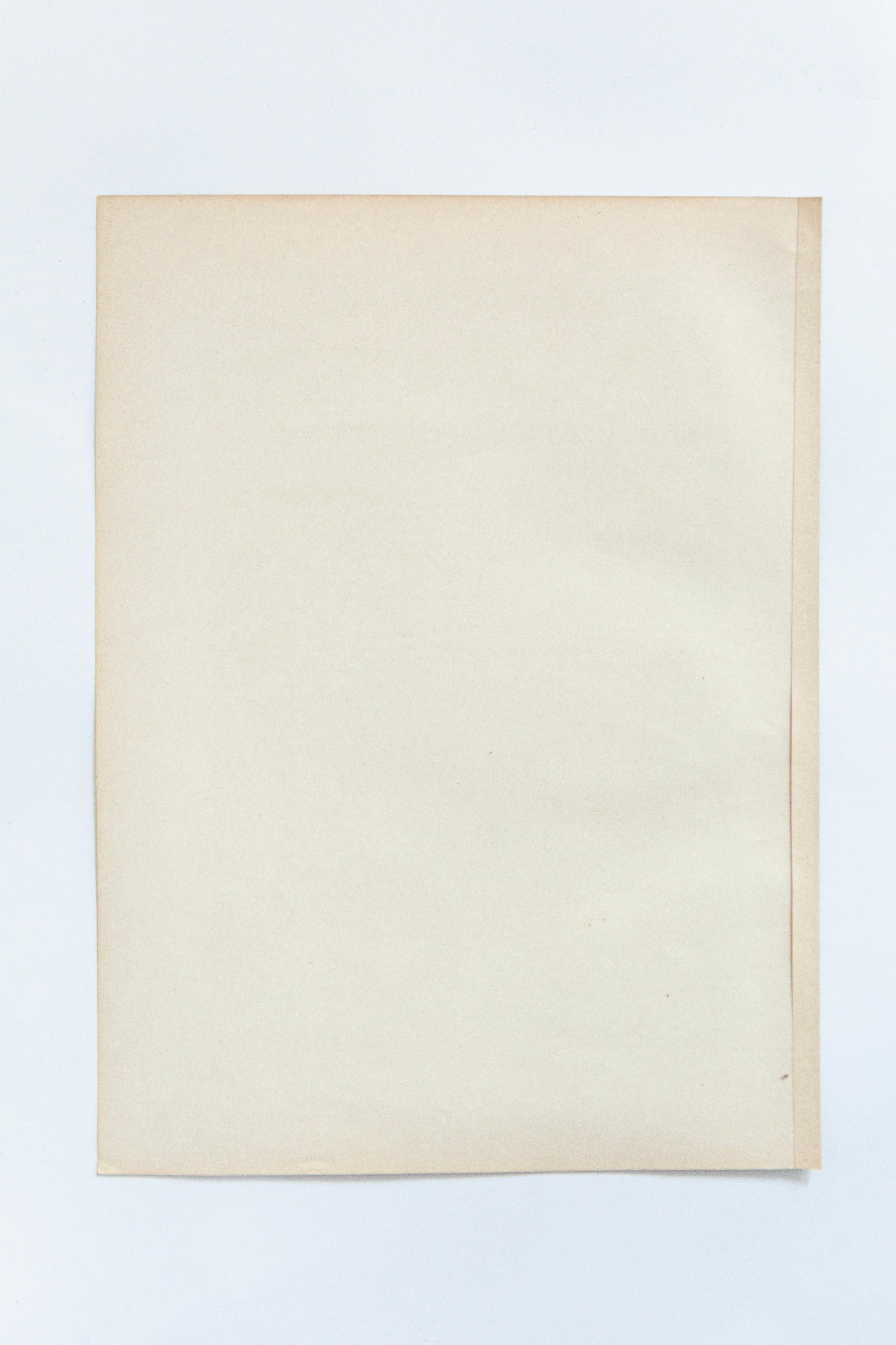 Botanische Pilzillustration, Vintage By, von E. Hochdanz, Stuttgart, Deutschland (Papier) im Angebot