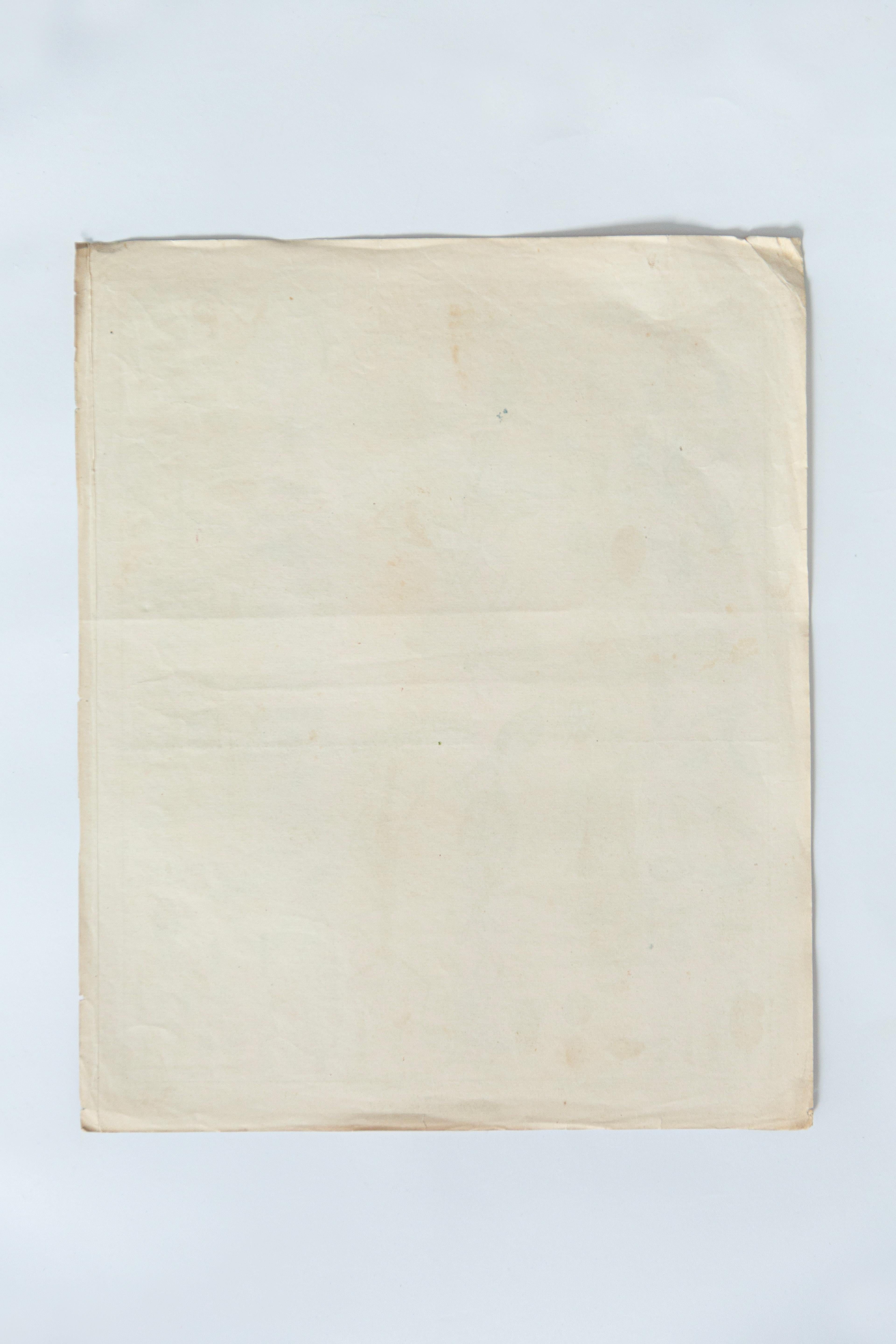 Botanische Pilzillustration, Vintage By, von E. Hochdanz, Stuttgart, Deutschland im Angebot 2