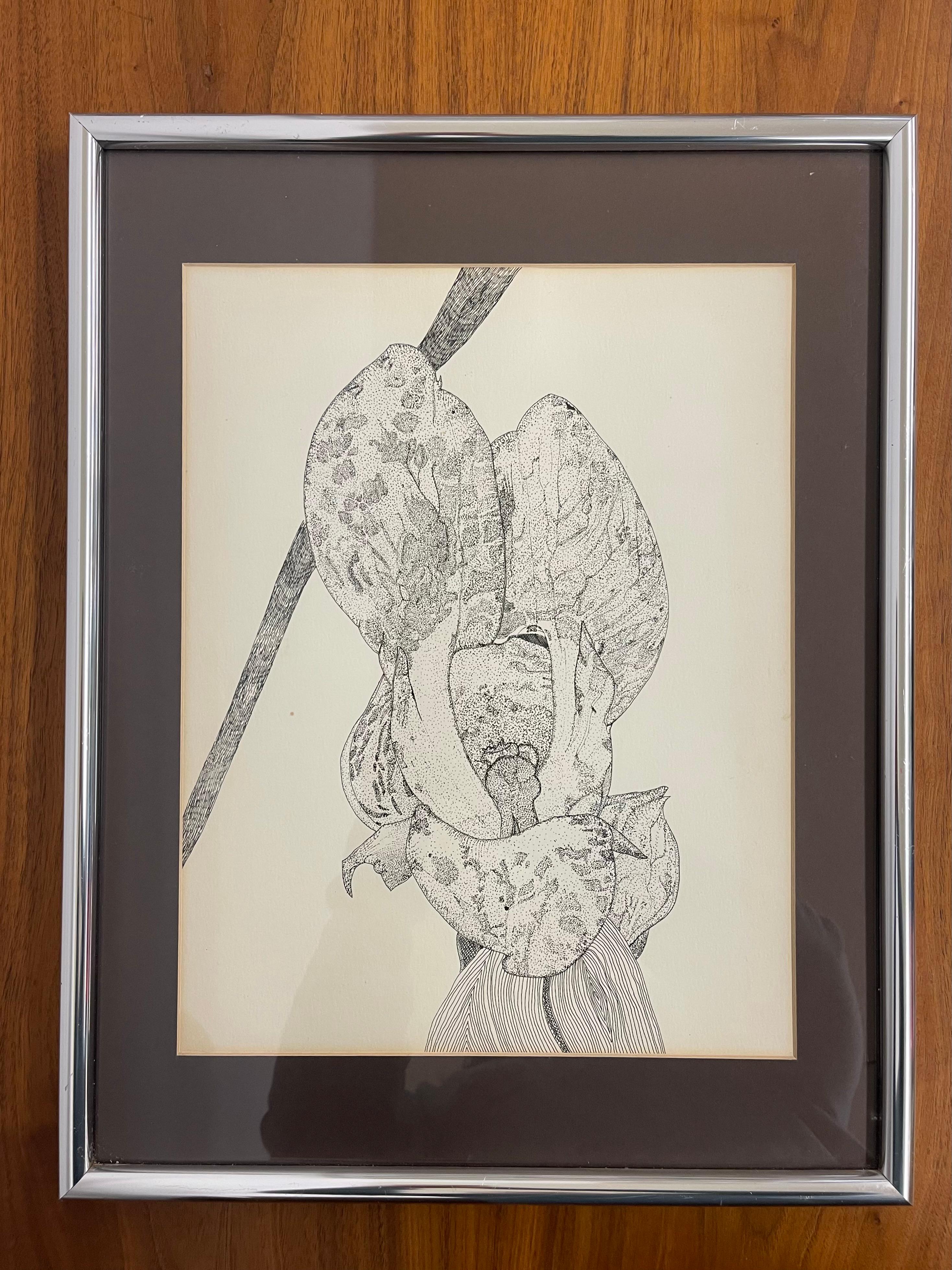 Un disegno botanico d'epoca finemente dettagliato a penna e inchiostro che raffigura uno studio ravvicinato di un fiore di orchidea. Eseguito con un preciso inchiostro nero utilizzando le tecniche del puntinismo e della puntinatura, l'artista