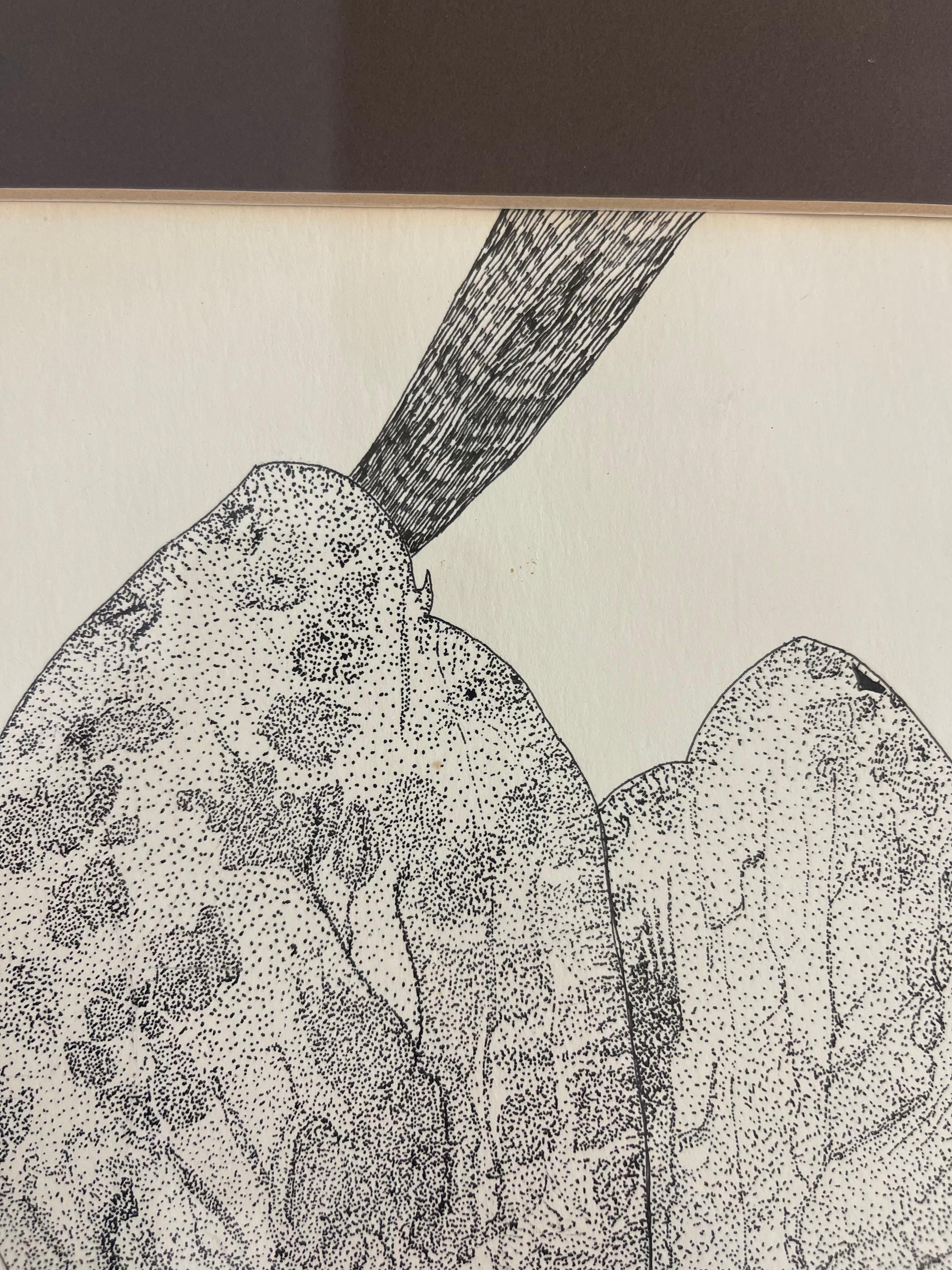 Mid-Century moderno Disegno botanico d'epoca a penna e inchiostro di un fiore di orchidea, incorniciato in bianco e nero in vendita