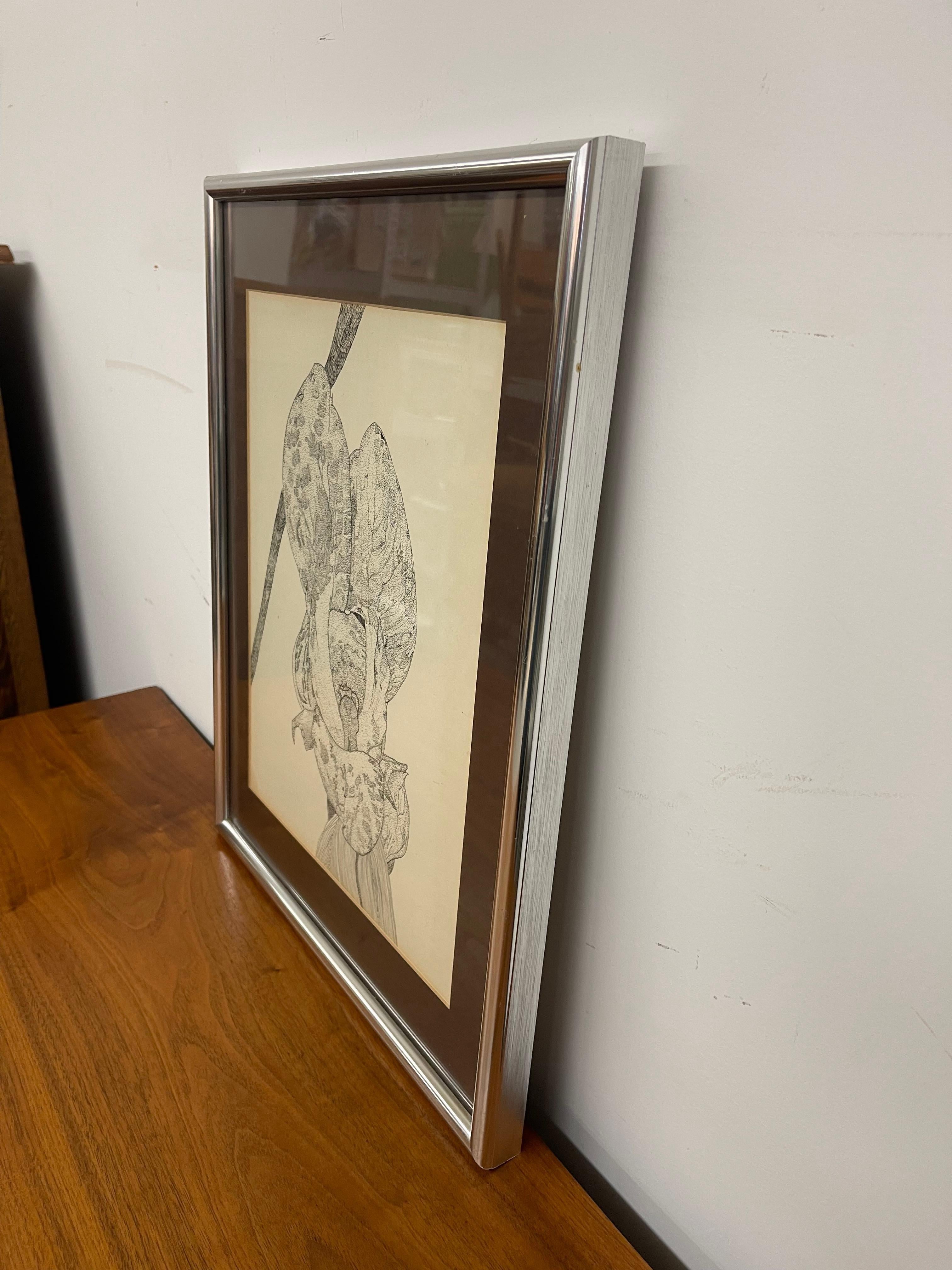 Disegno botanico d'epoca a penna e inchiostro di un fiore di orchidea, incorniciato in bianco e nero In condizioni buone in vendita a Seattle, WA