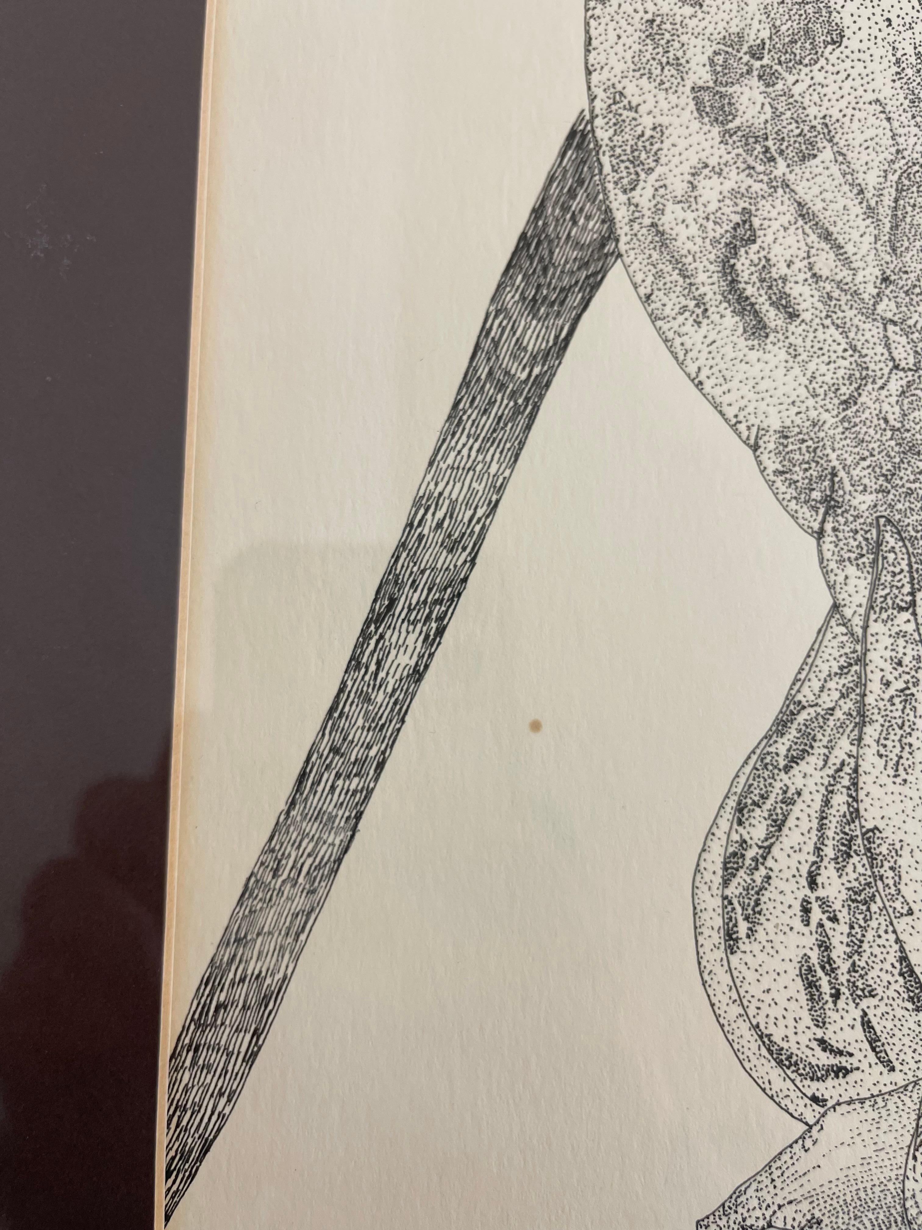 Fine XX secolo Disegno botanico d'epoca a penna e inchiostro di un fiore di orchidea, incorniciato in bianco e nero in vendita