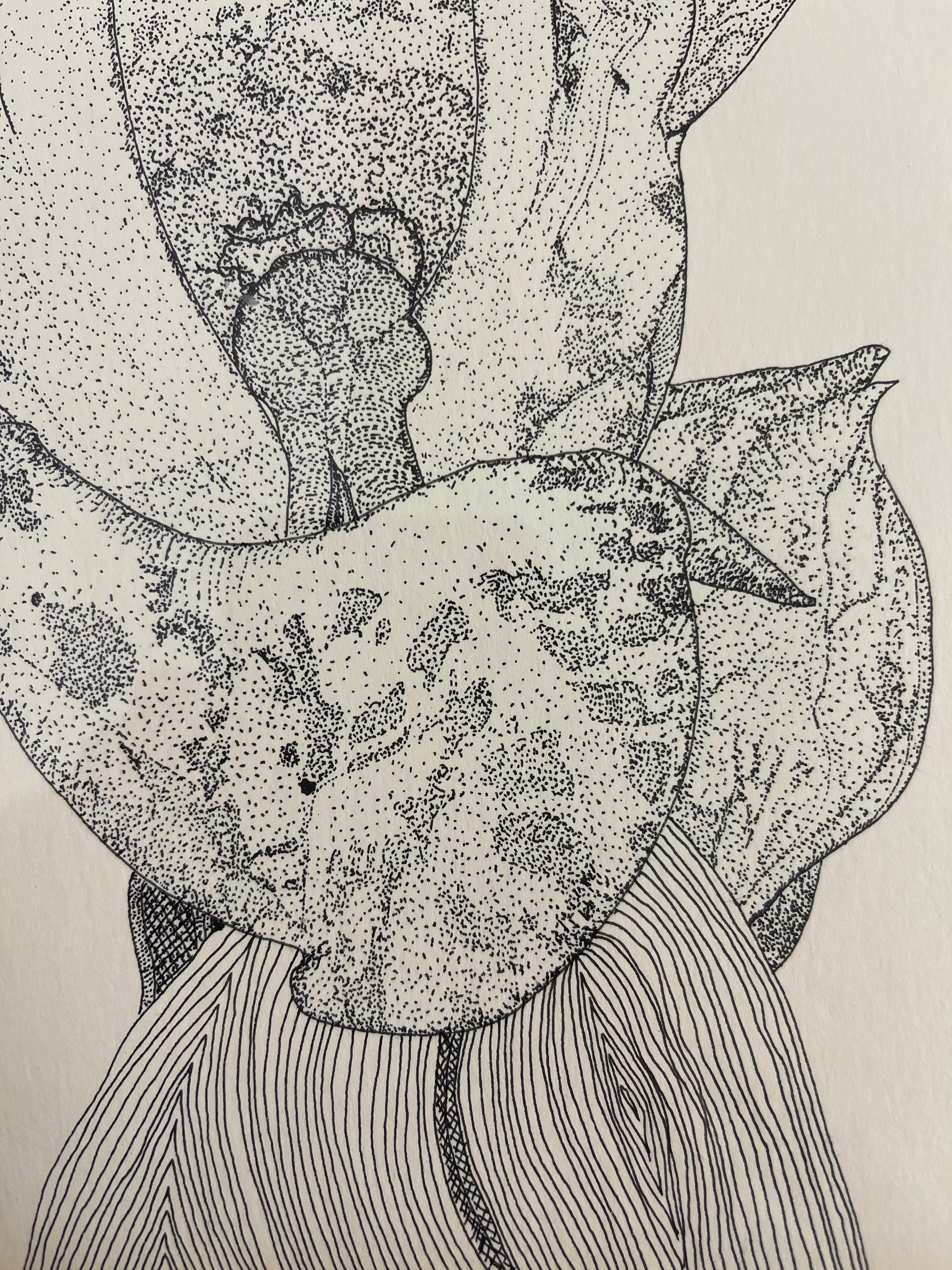 Disegno botanico d'epoca a penna e inchiostro di un fiore di orchidea, incorniciato in bianco e nero in vendita 3