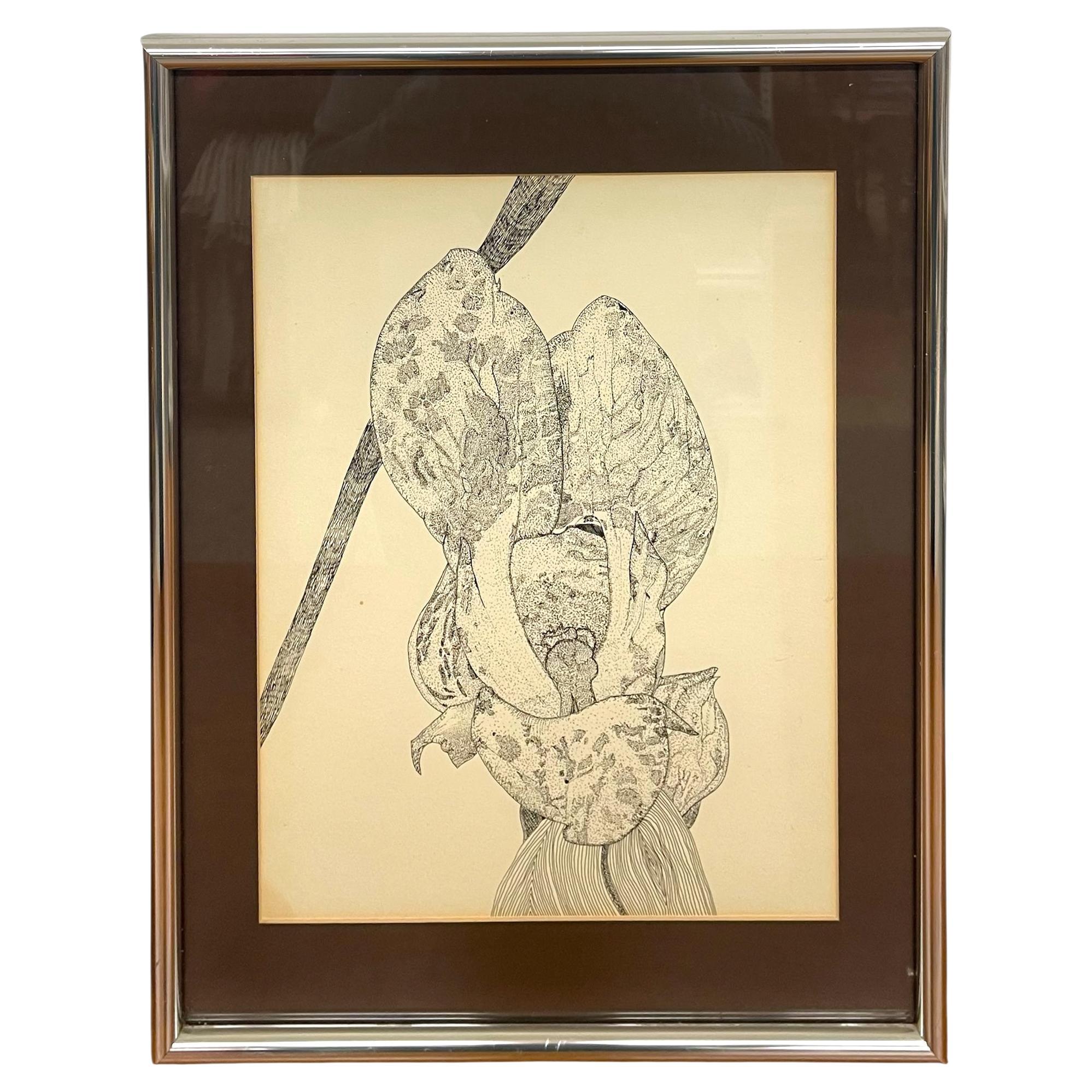 Dessin botanique vintage à la plume et à l
encre d
une fleur d
orchidée, encadré en noir et blanc