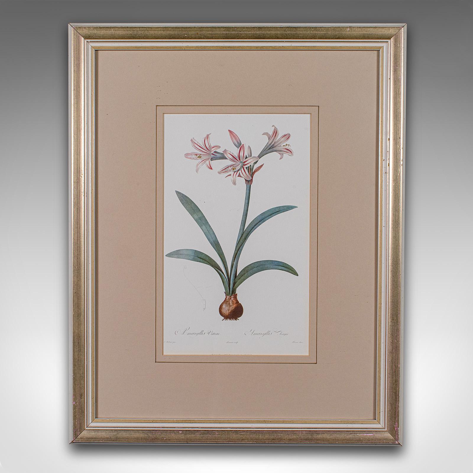 
Si tratta di una stampa botanica vintage. Incisione inglese incorniciata di un originale georgiano, risalente alla fine del XX secolo, circa 1990.

Presenta uno studio accattivante della pianta Amaryllis Vittata
Presenta una patina invecchiata