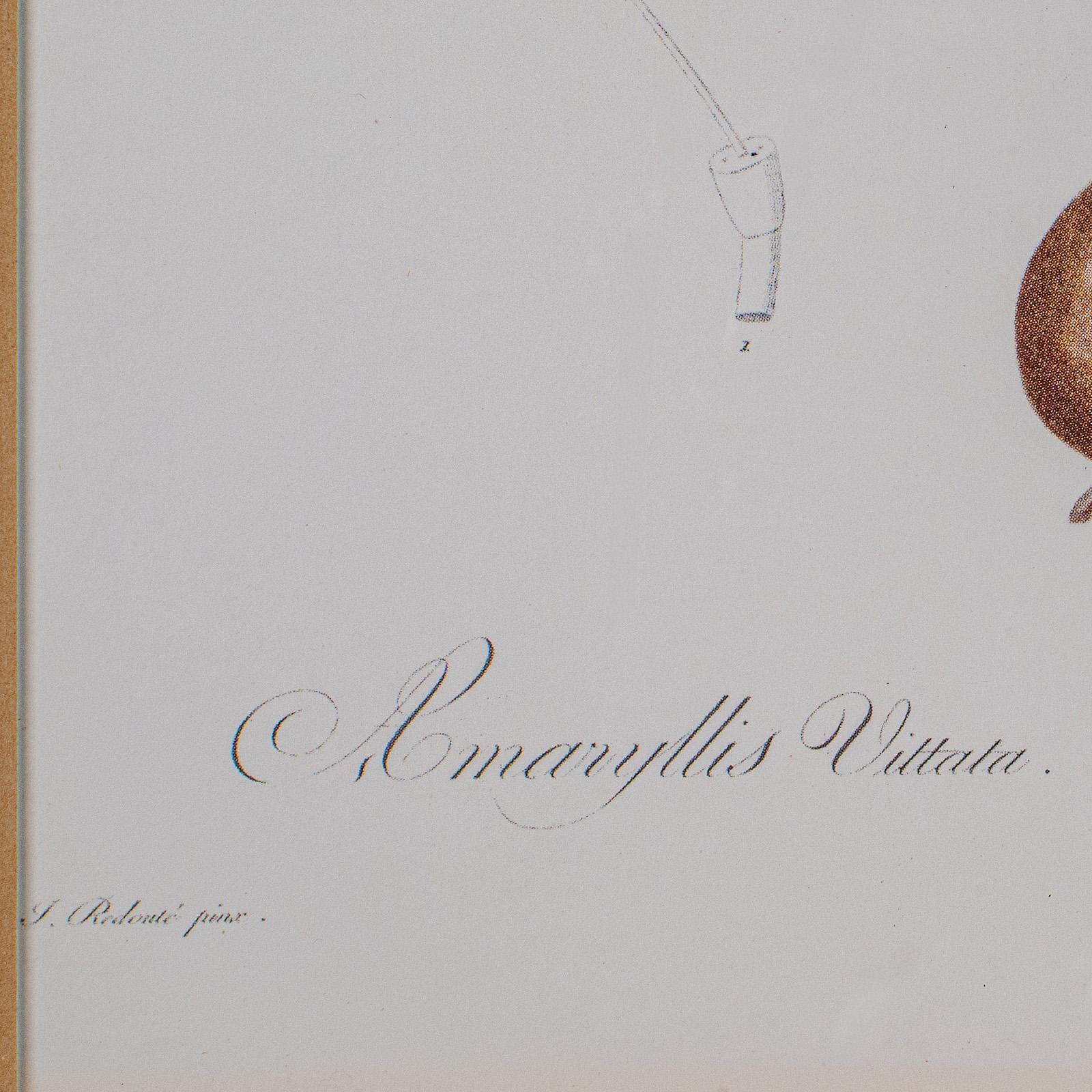 Carta Stampa botanica d'epoca, Inglese, Incisione con cornice, Revival Georgiano, Circa 1990