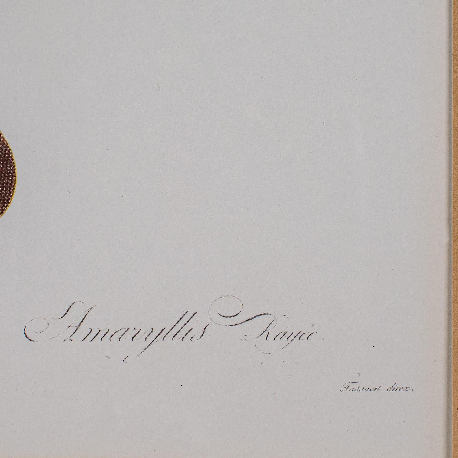 Stampa botanica d'epoca, Inglese, Incisione con cornice, Revival Georgiano, Circa 1990 1