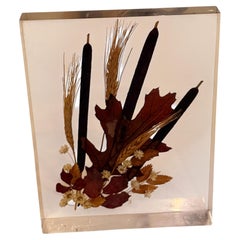 Vintage Botanical Specimen Lucite Sculpture with Pressed Flowers and Foliage