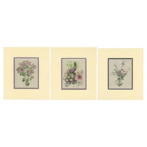 Vintage Botanical Treasures: Set of Three Flower Prints, circa 1930