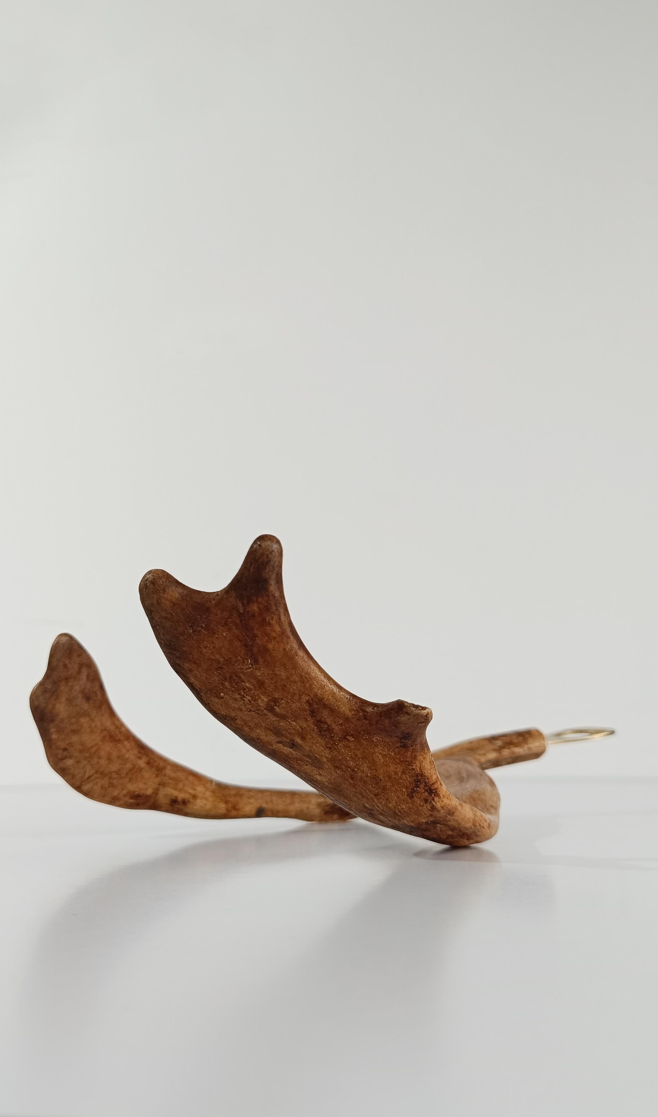 Vintage-Flaschenöffner mit Damhirschgeweihgriff, 70er Jahre im Angebot 5