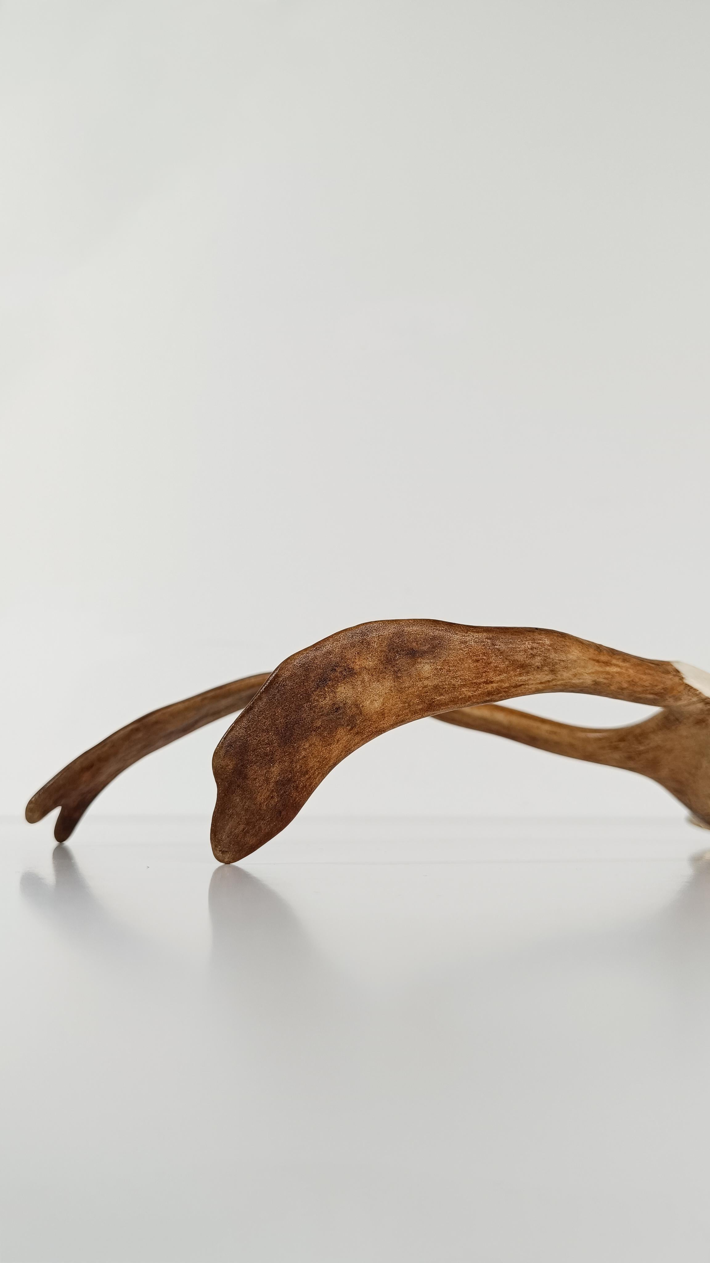 Vintage-Flaschenöffner mit Damhirschgeweihgriff, 70er Jahre im Angebot 7