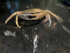 Vintage Brass Crab Ashtray