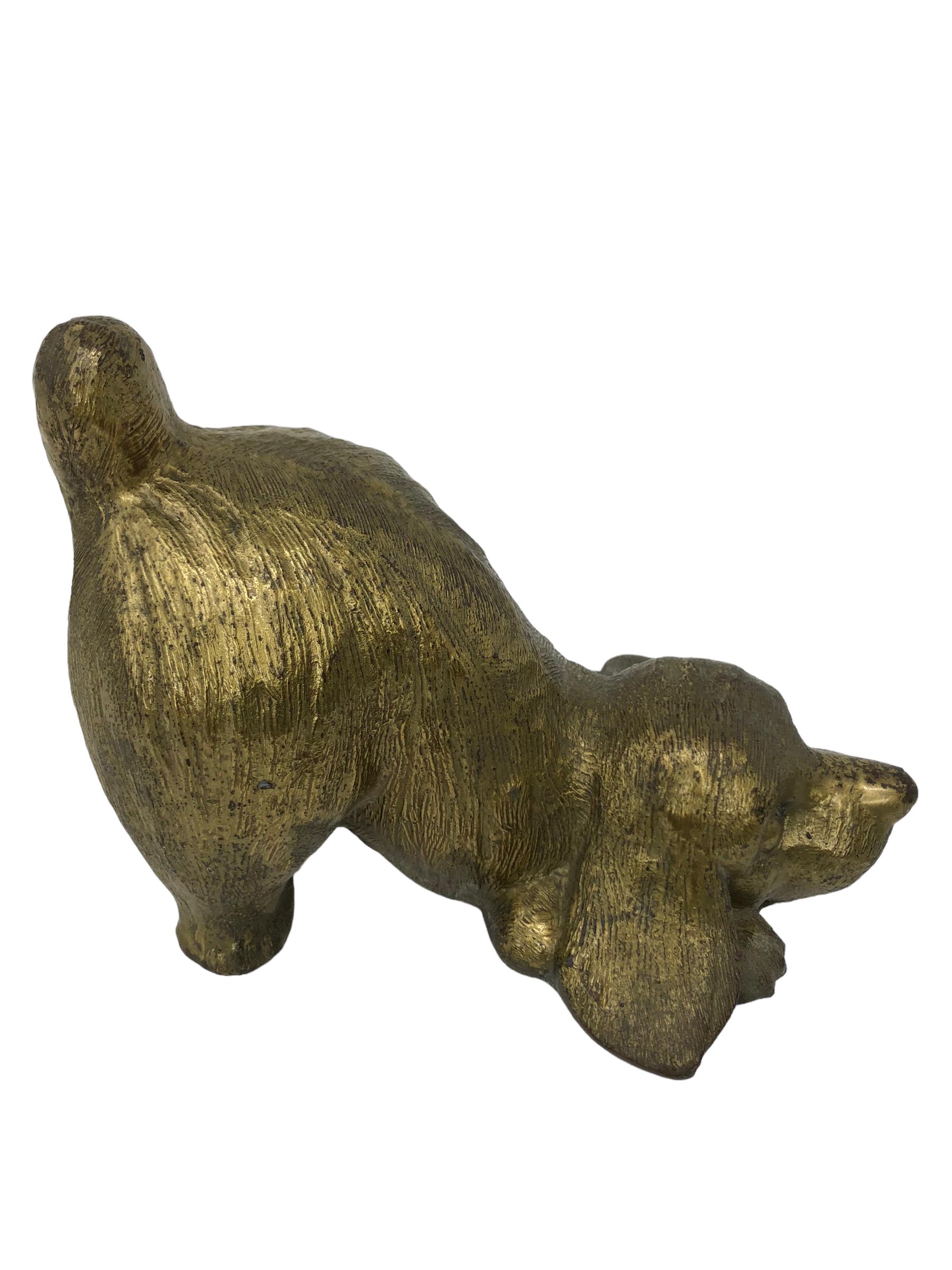 position du sphinx chez le chien