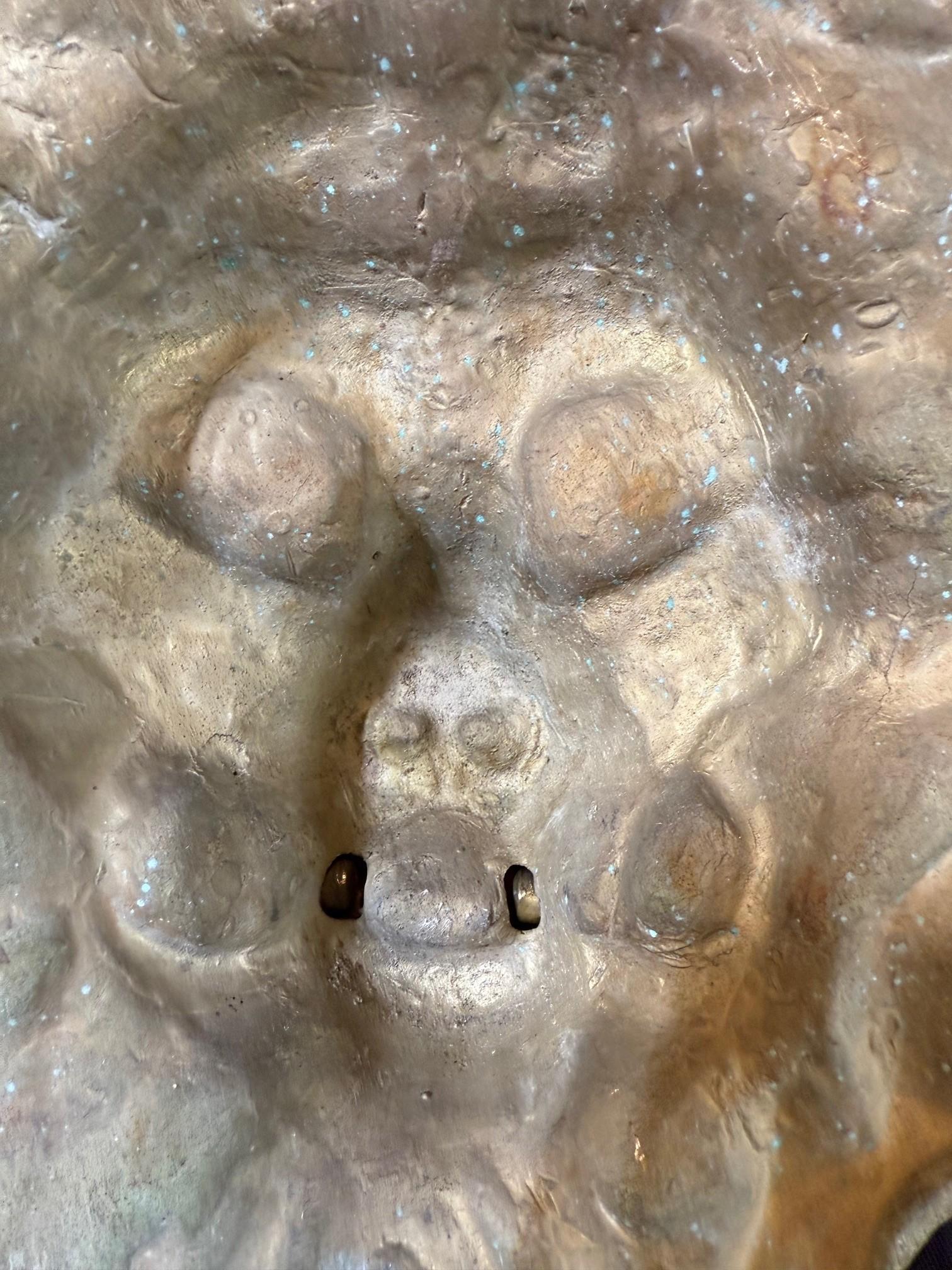 Vintage Brass Lion Head Door Knocker For Sale 7