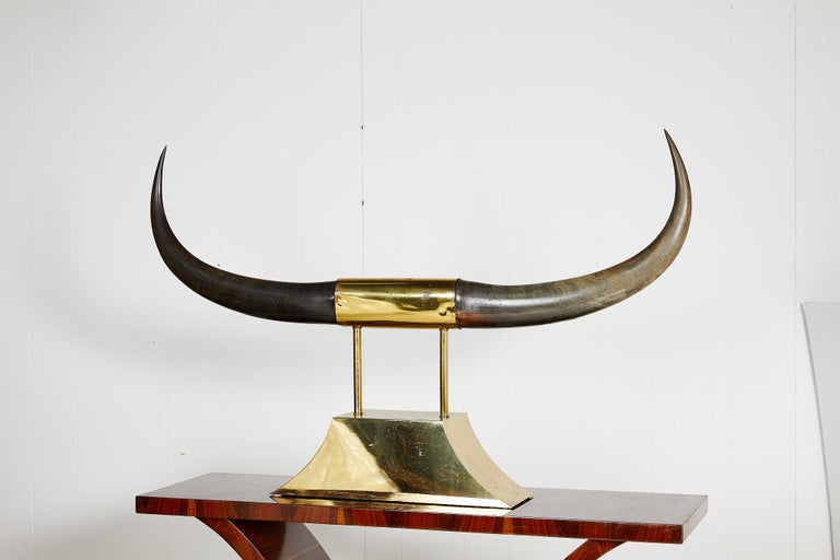 Vintage Brass Mounted Carved Water Buffalo Horns at 1stDibs