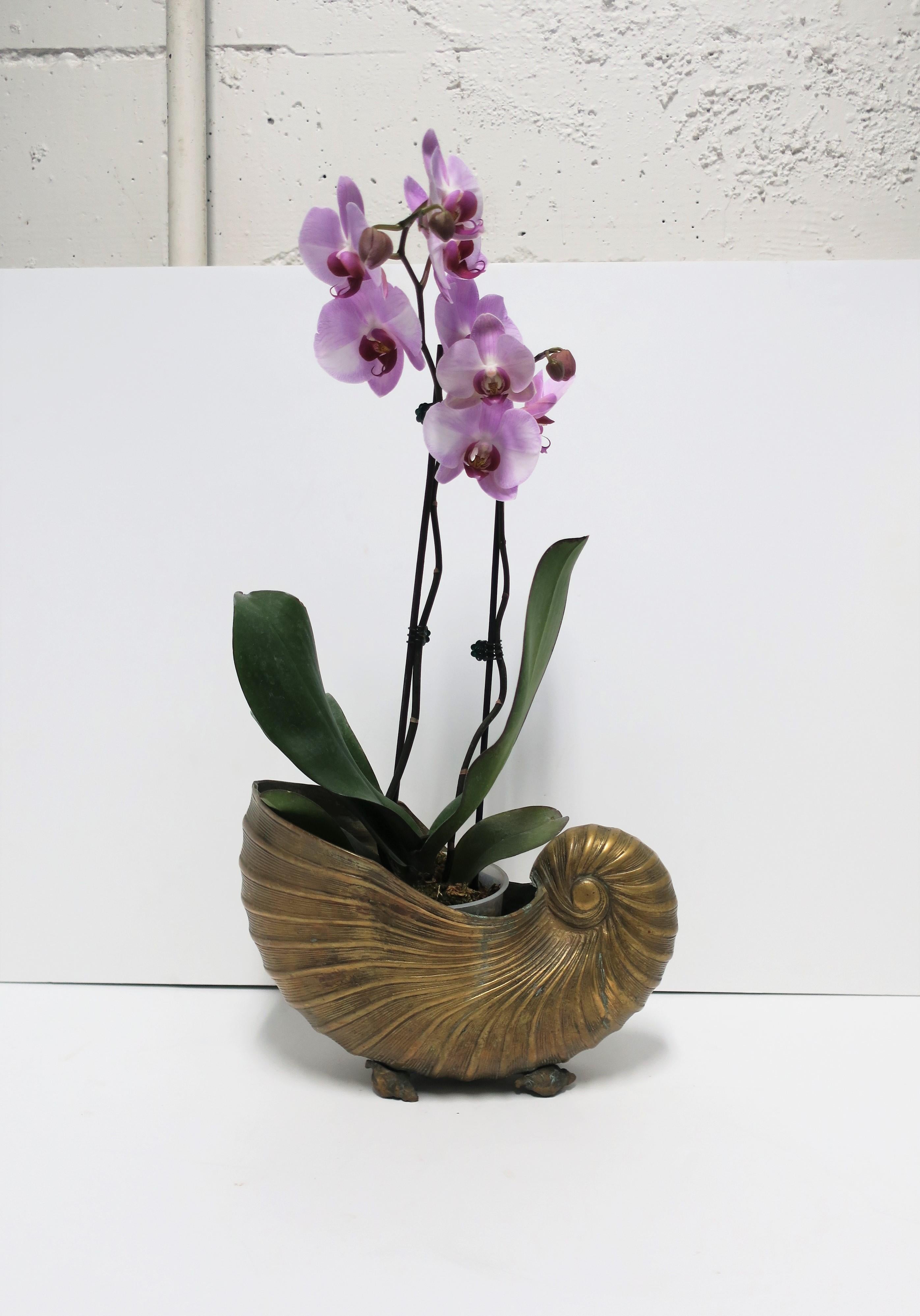 Brass Nautilus Seashell Cachepot Jardinière Flower Plant Holder, 20th c. 8