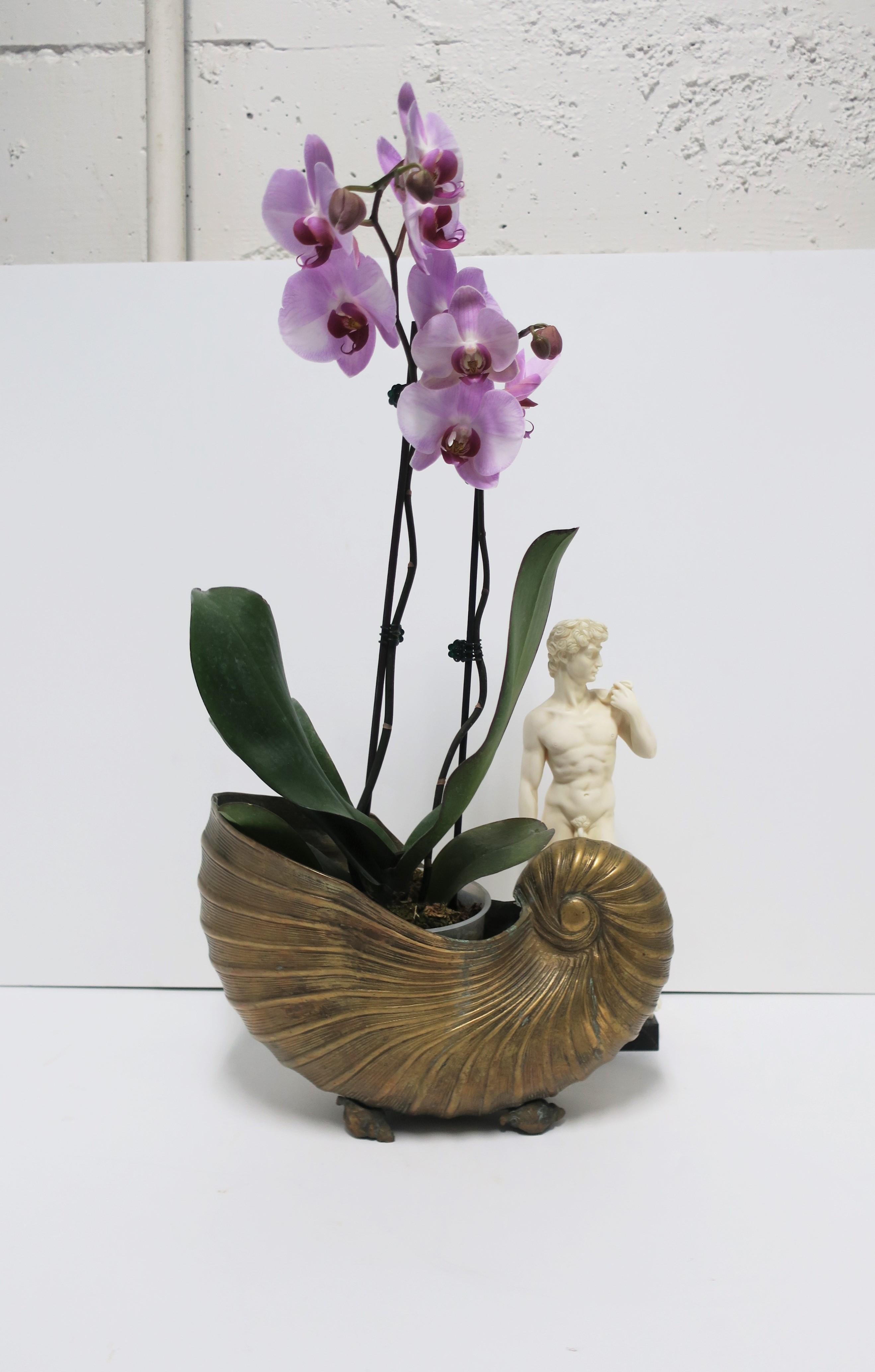 Brass Nautilus Seashell Cachepot Jardinière Flower Plant Holder, 20th c. 9