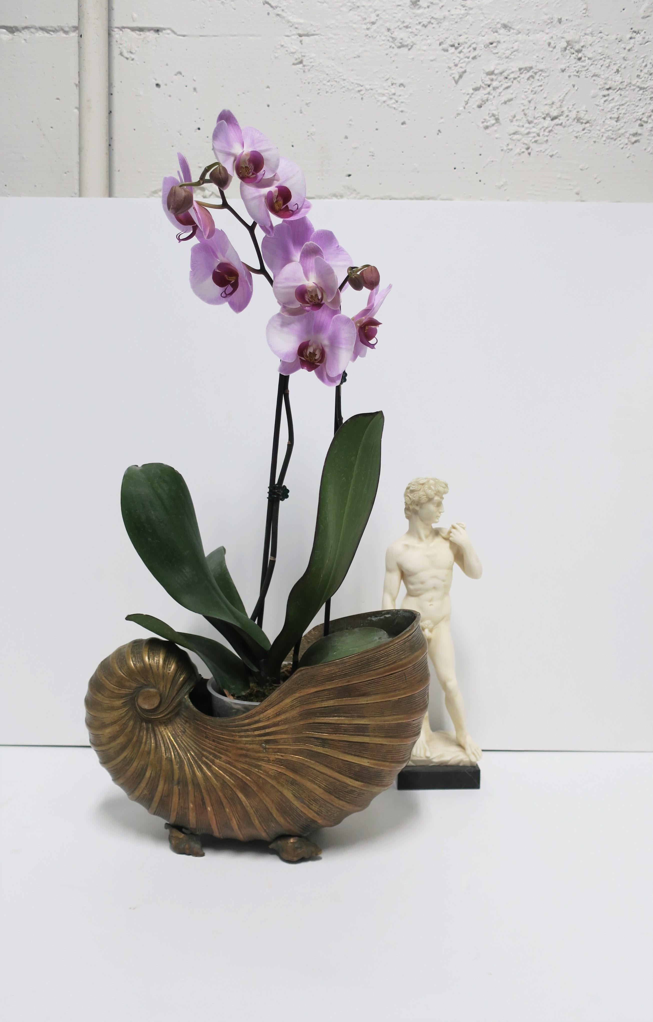Brass Nautilus Seashell Cachepot Jardinière Flower Plant Holder, 20th c. 11