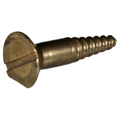 Vintage Brass Screw Paperweight