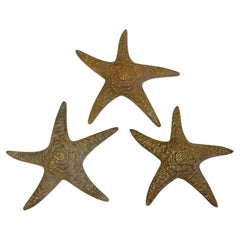 Vintage Brass Starfish Sculpture set Natural Specimen Art, Korea 1960's