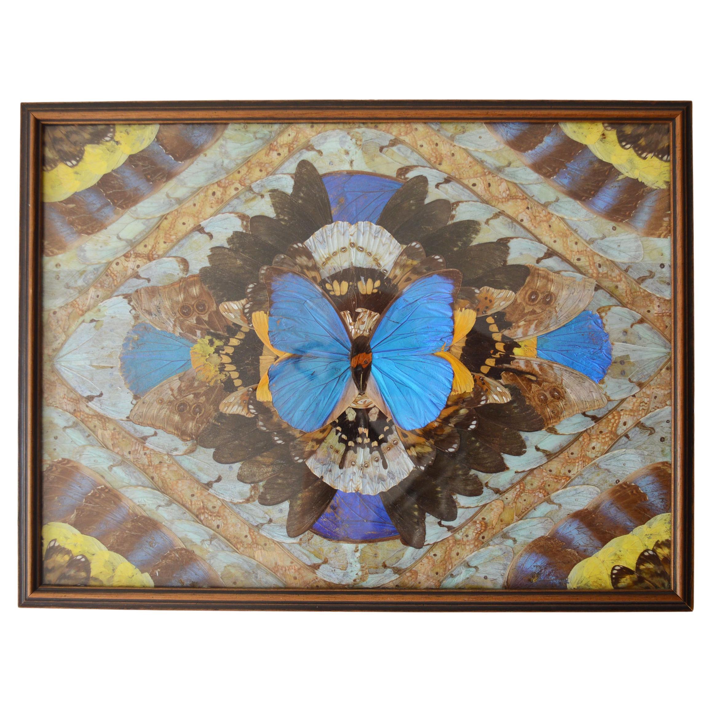 A fine wood framed picture with dazzling geometric patterns made from the wings of the brilliant iridescent Blue Morpho butterfly.  A wonderful eye catching art object  perfect for interior design. C 1950`s 
Size 42 x 30 x 2 cm ,  16.25 x 11.75 x