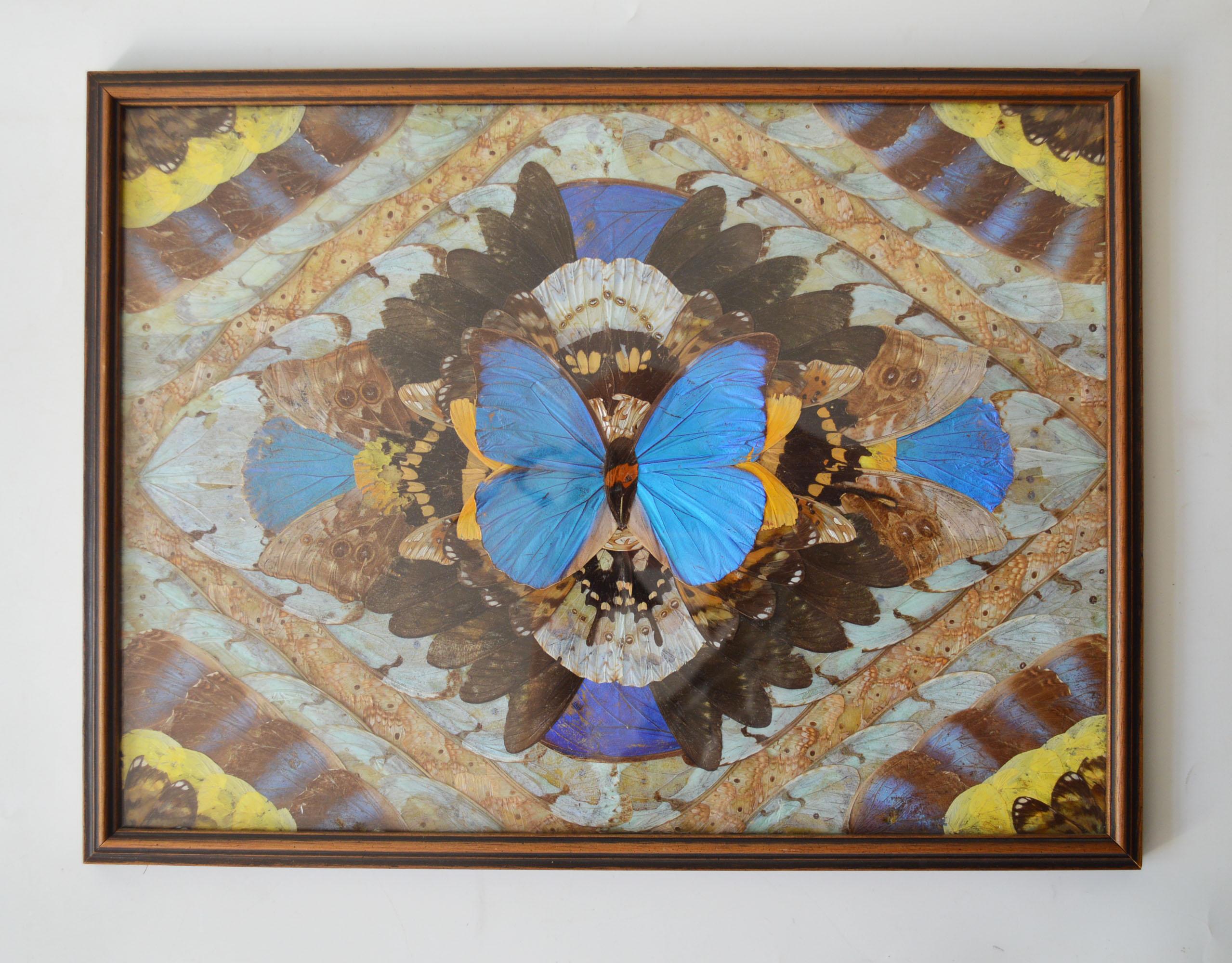 Hand-Crafted Vintage Brazilian Framed Morpho Butterfly Wings Picture C 1950'S Home décor 