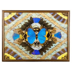 Vintage Brazilian Framed Morpho Butterfly Wings Picture C 1950'S Home décor
