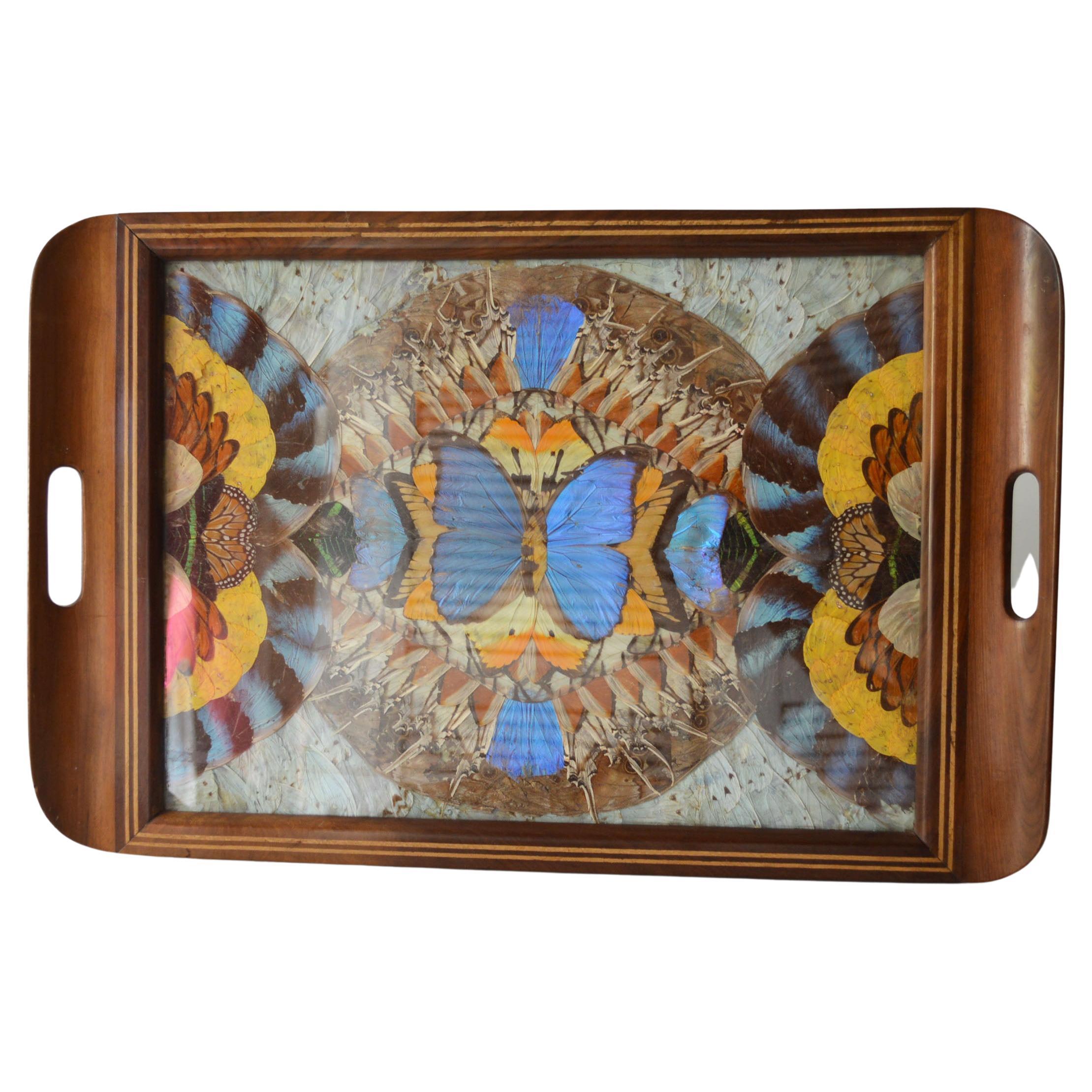 Vintage Brazilian Inlaid Tray Morpho Butterfly Wings C 1940'S Home décor  For Sale