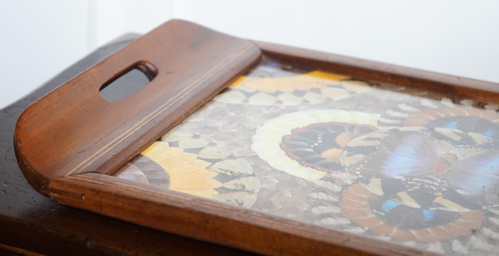 Vintage Brazilian Inlaid Wood Tray with Real Morpho Butterfly Wings For Sale 1
