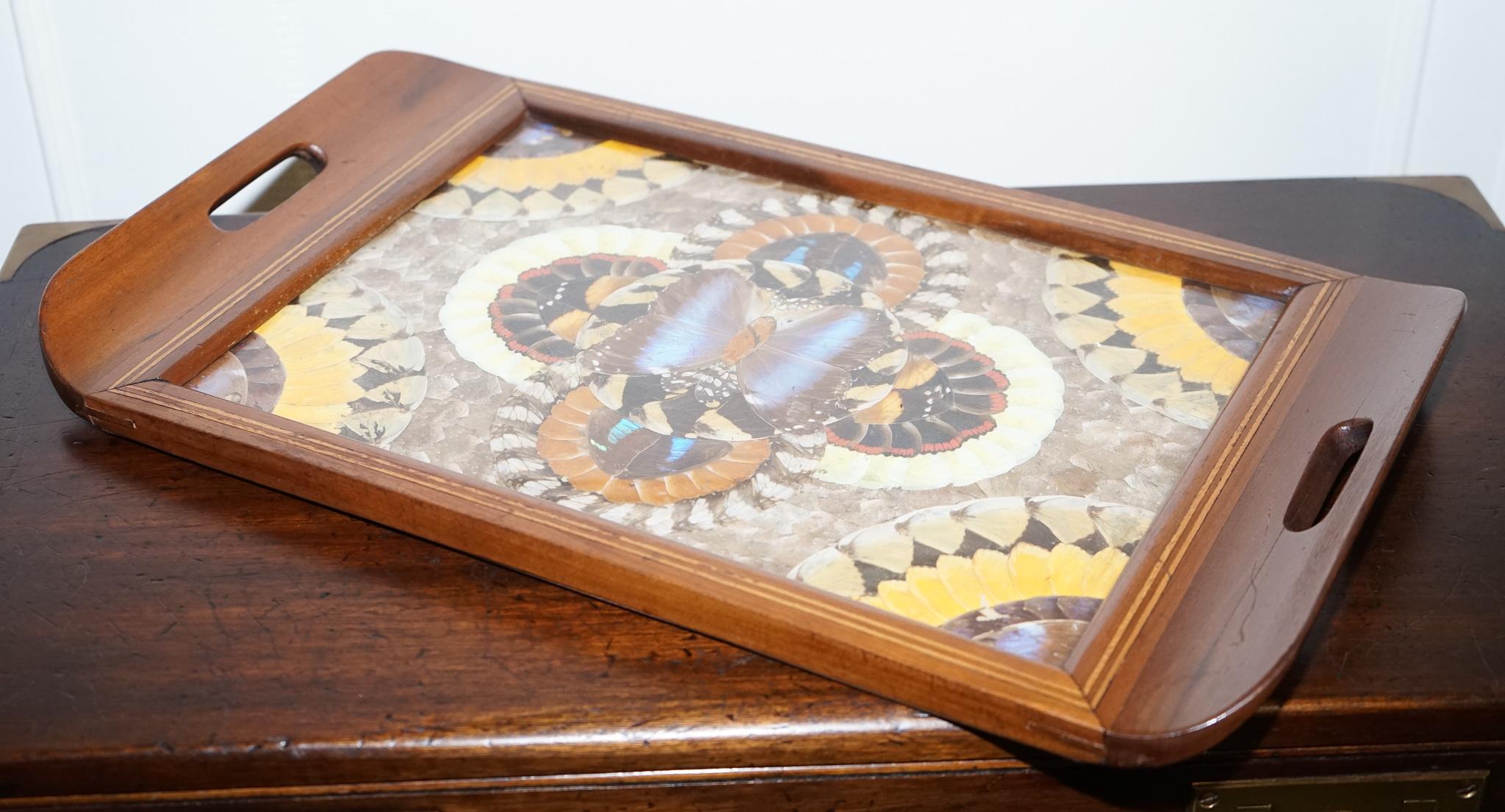Vintage Brazilian Inlaid Wood Tray with Real Morpho Butterfly Wings For Sale 2