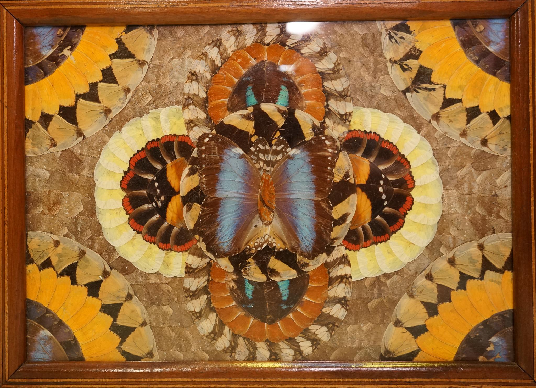 We are excited to present this vintage Brazilian inlaid wood tray with real Morpho butterfly wings.

A Brazilian inlaid wood tray with real morpho butterfly wings is a stunning piece of art that showcases the beauty of nature. The tray is made