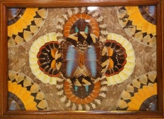 Vintage Brazilian Inlaid Wood Tray with Real Morpho Butterfly Wings