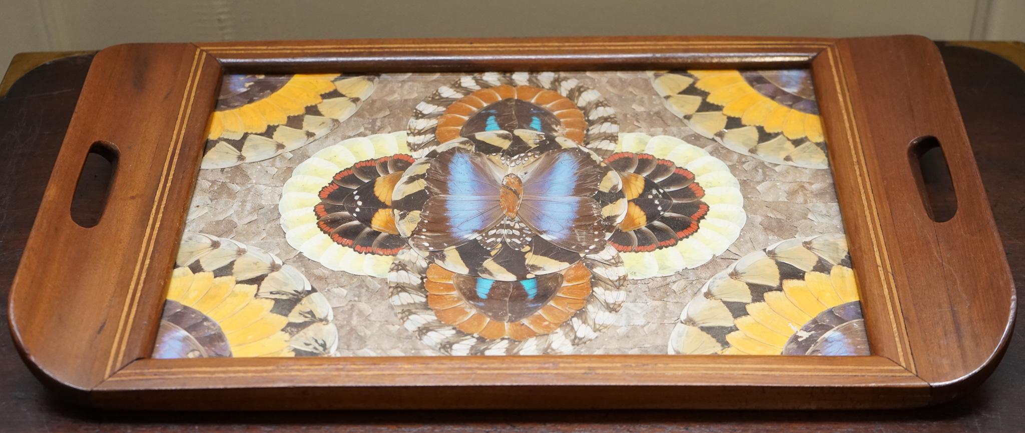 Britannique Plateau brésilien vintage en bois incrusté avec de véritables ailes de papillon Morpho en vente