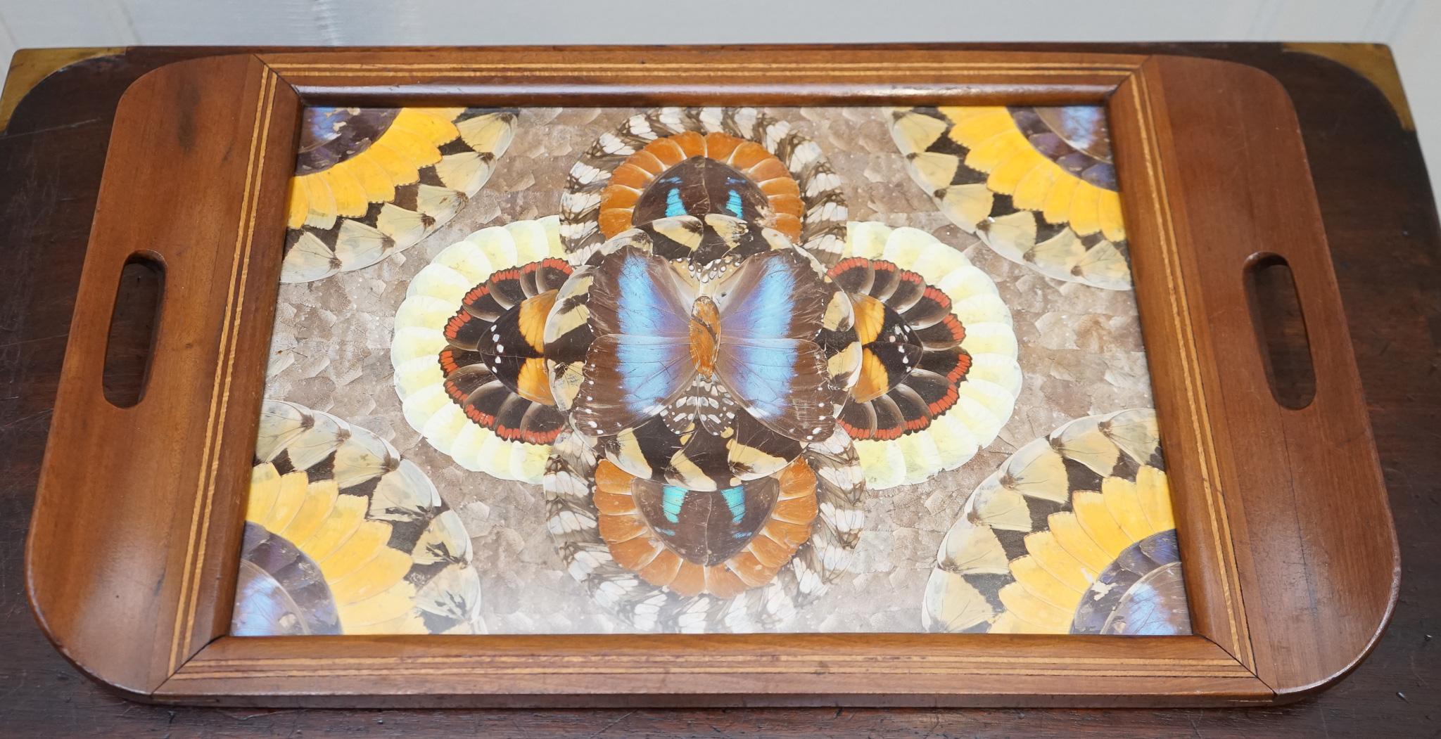 Fait main Plateau brésilien vintage en bois incrusté avec de véritables ailes de papillon Morpho en vente
