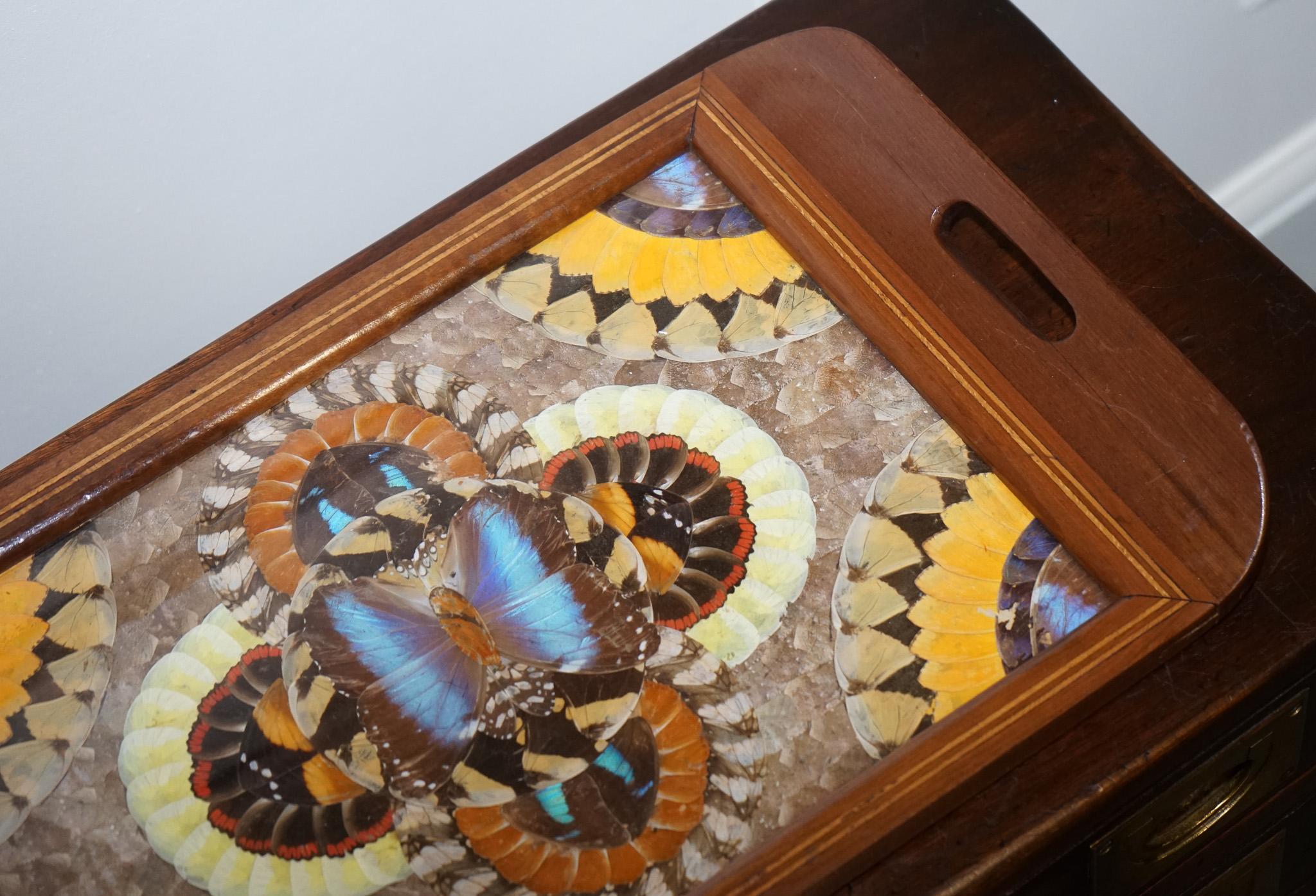 20ième siècle Plateau brésilien vintage en bois incrusté avec de véritables ailes de papillon Morpho en vente