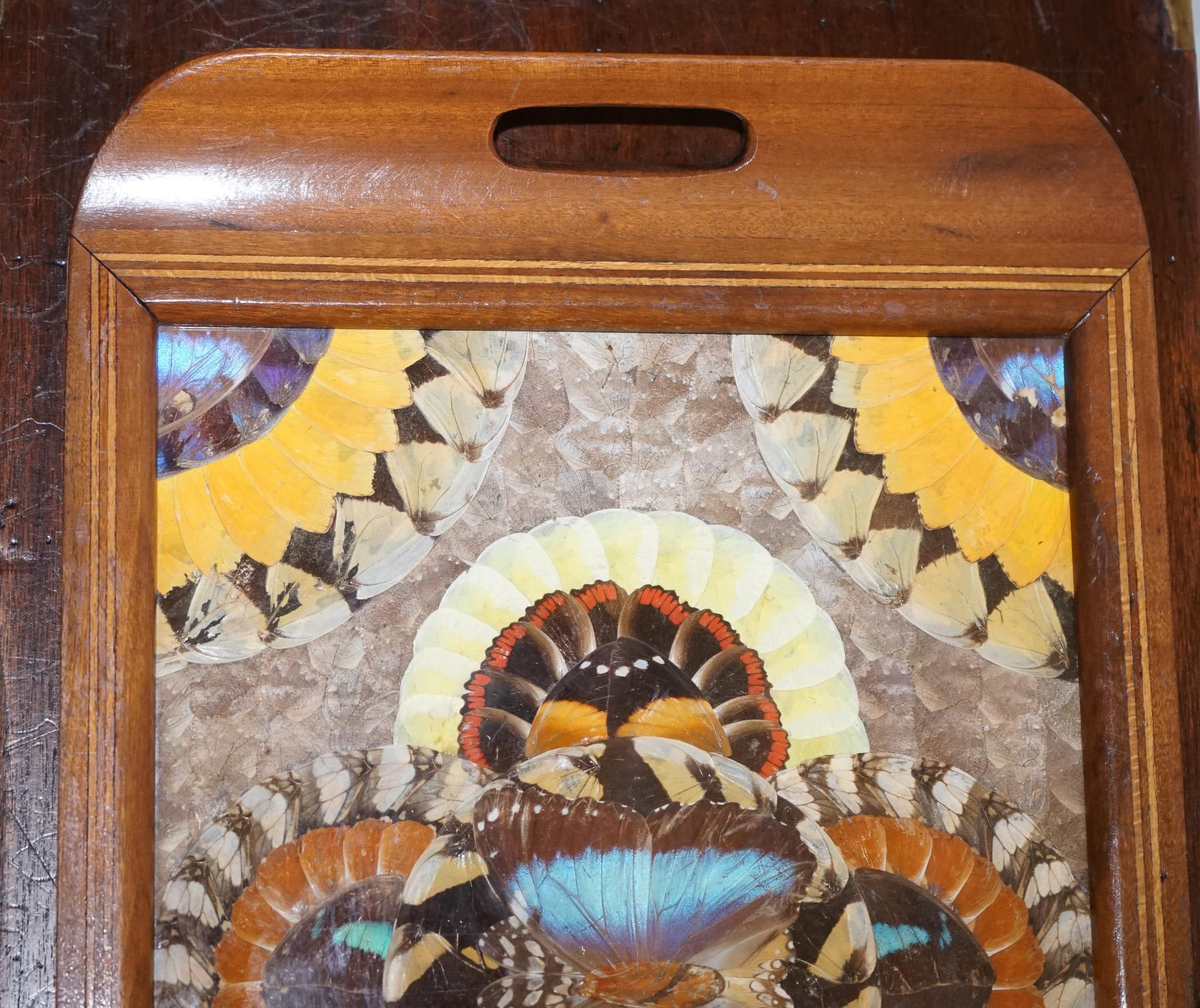 Vintage Brazilian Inlaid Wood Tray with Real Morpho Butterfly Wings In Good Condition For Sale In Pulborough, GB