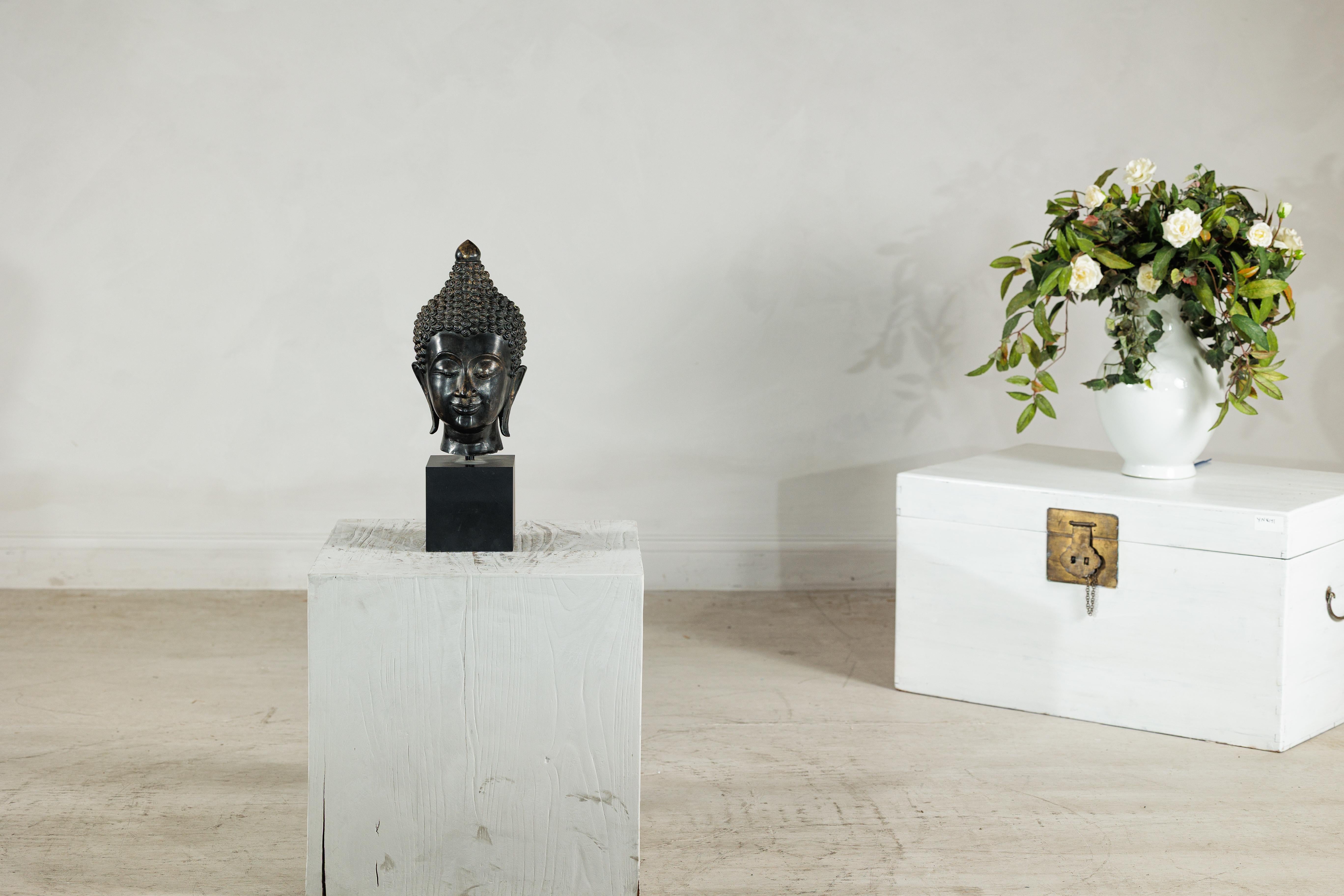 Questa serena testa di Buddha in bronzo è uno studio scultoreo di equilibrio e contemplazione, montato su una moderna base in laminato nero che ne esalta la presenza meditativa. Fusa in un ricco bronzo scuro con sottili riflessi dorati, la testa è