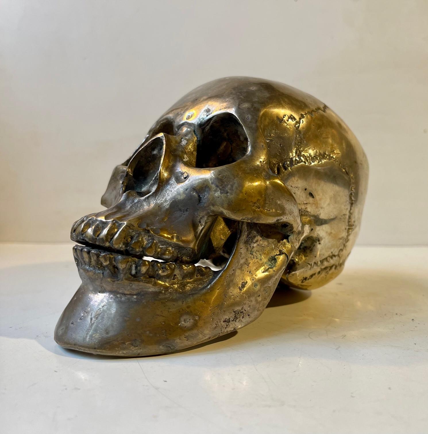 A 1:1 cast model of a human skull in silver plated bronze. Its made from a cast of a real human skull, probably female, and is complete with teeth, lower- and upper jaw. This particular example shows patina and ware. It has been polished over the