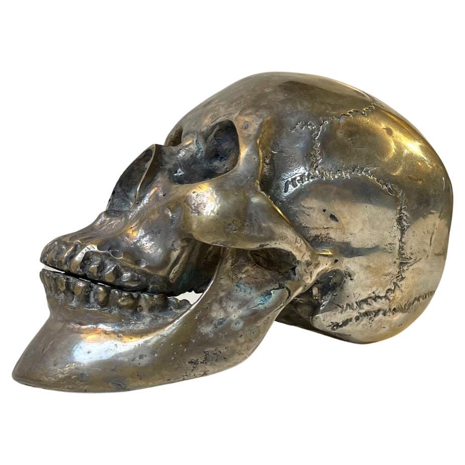 Vintage Bronze Cast of a Human Skull 1:1, 1950s For Sale