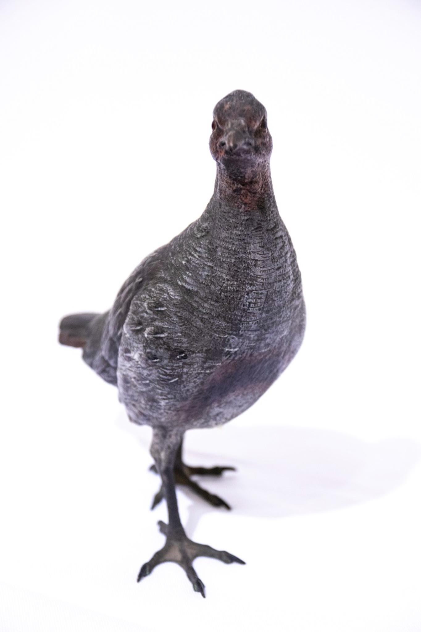 French Vintage Bronze Pigeon Sculpture, France, 1950s For Sale