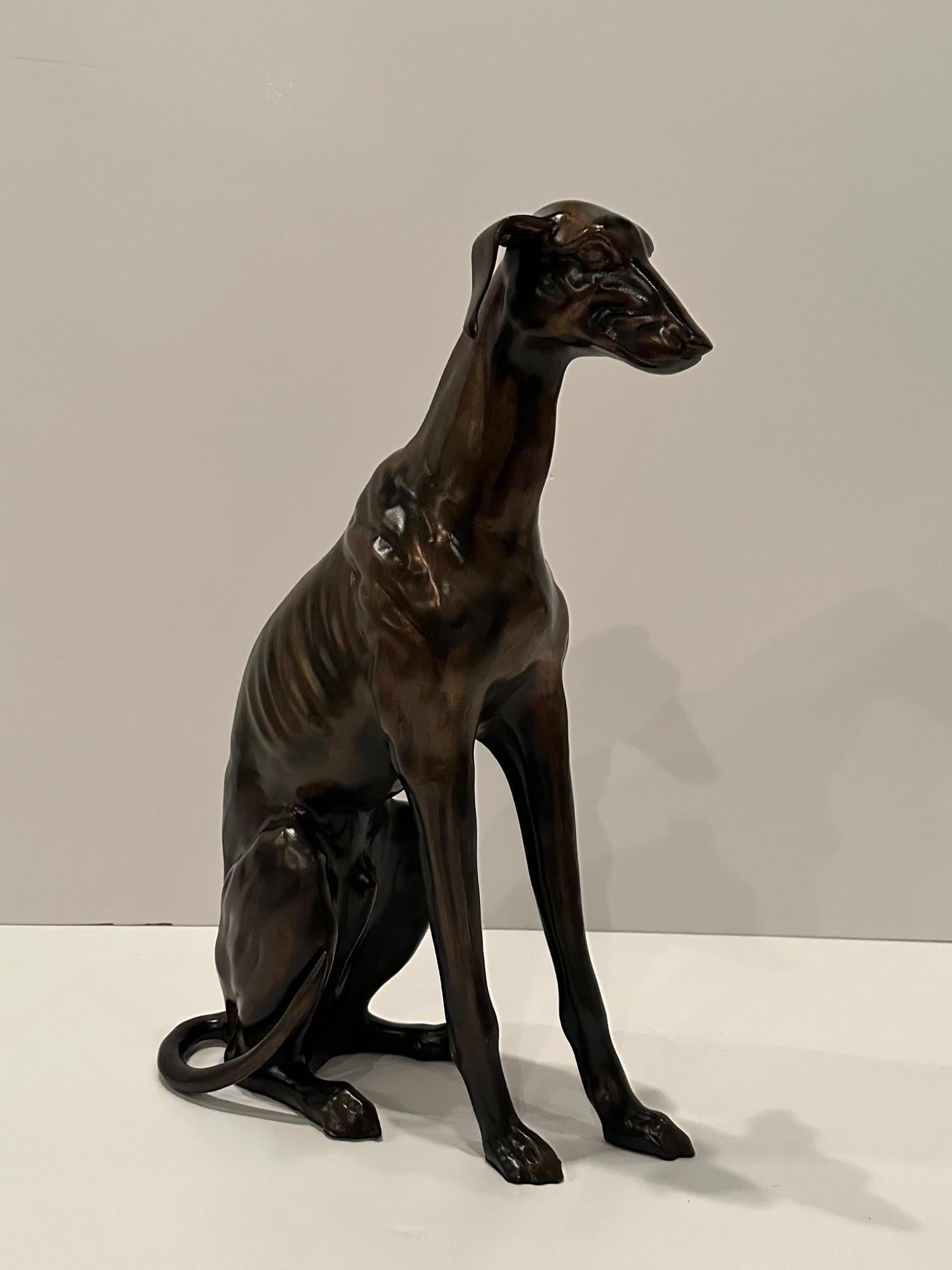 Bellissima scultura realistica in bronzo di un cane whippet in posizione seduta con incredibili dettagli.