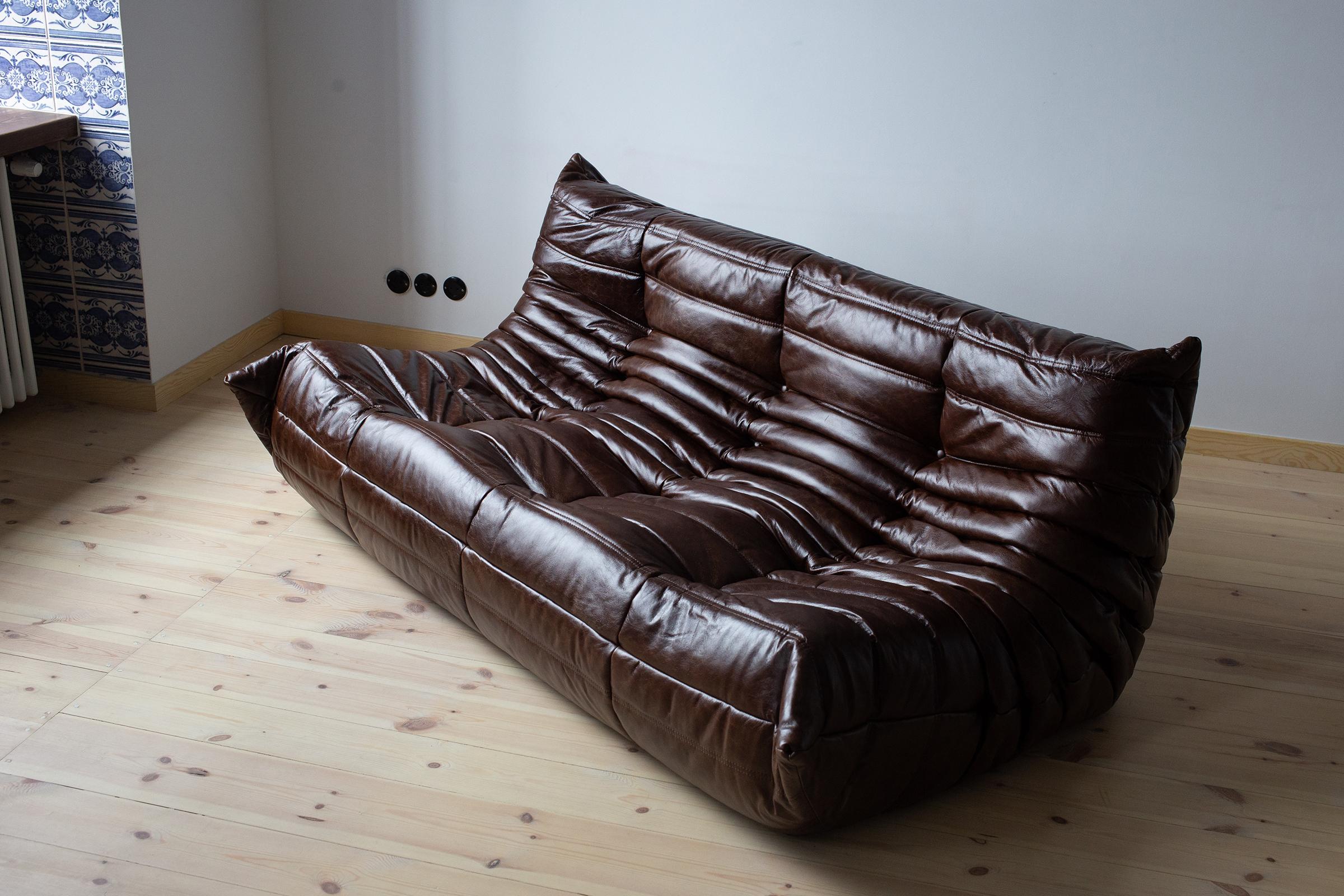 Vintage Brown Dubai Leather Togo Sofa Set by Michel Ducaroy for Ligne Roset For Sale 11