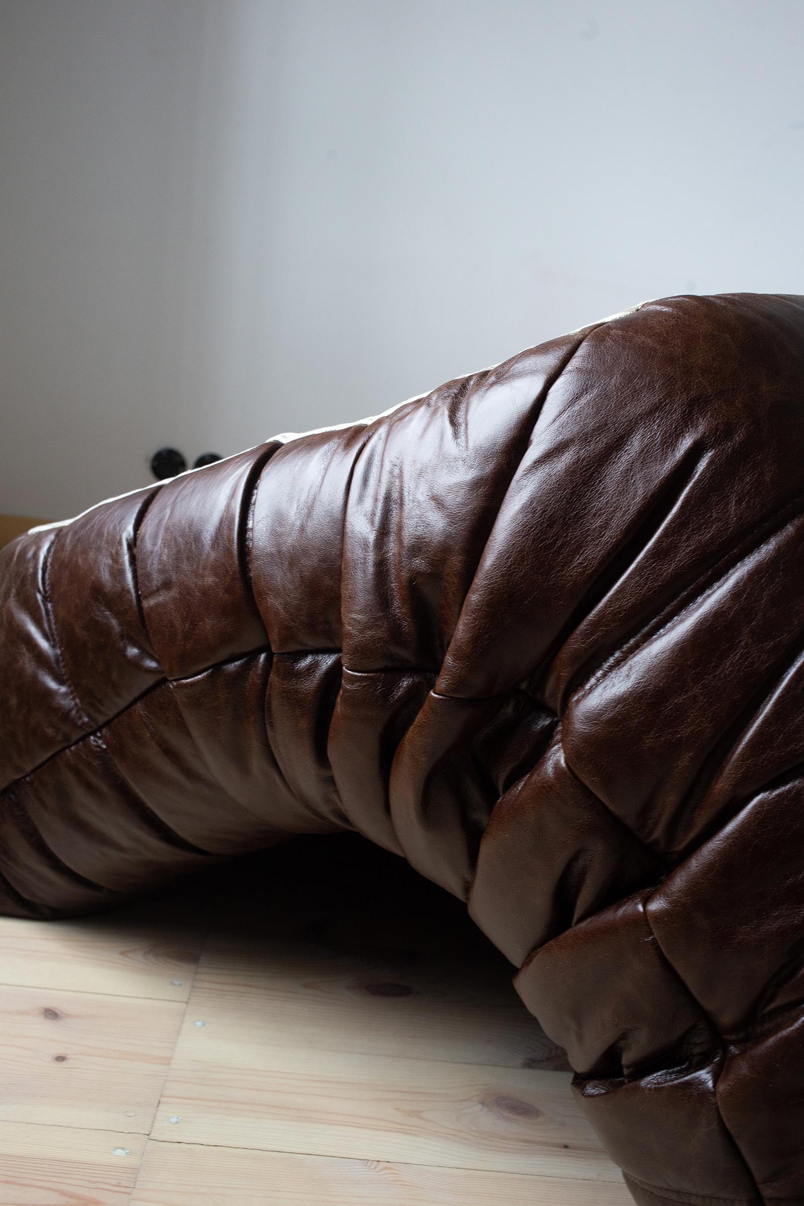 Vintage Brown Dubai Leather Togo Sofa Set by Michel Ducaroy for Ligne Roset For Sale 12