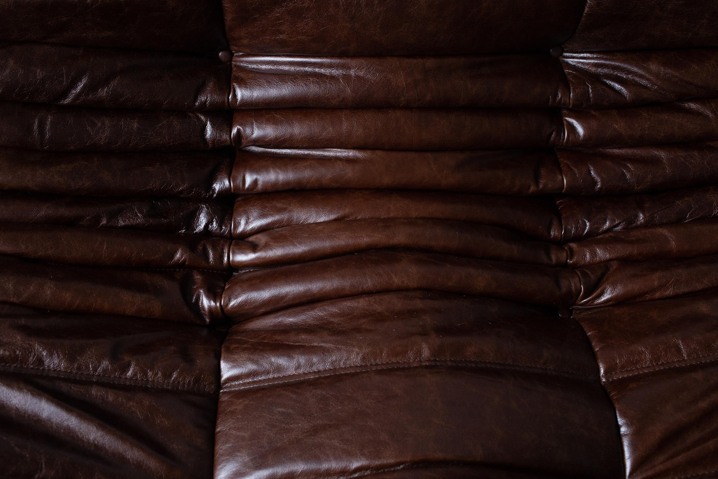 Vintage Brown Dubai Leather Togo Sofa Set by Michel Ducaroy for Ligne Roset For Sale 2