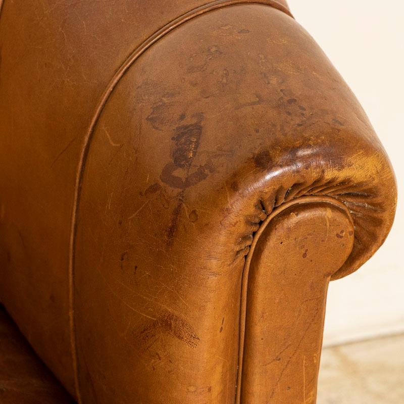 Vintage Brown Leather Barrel Chair Club Chair from Denmark 2