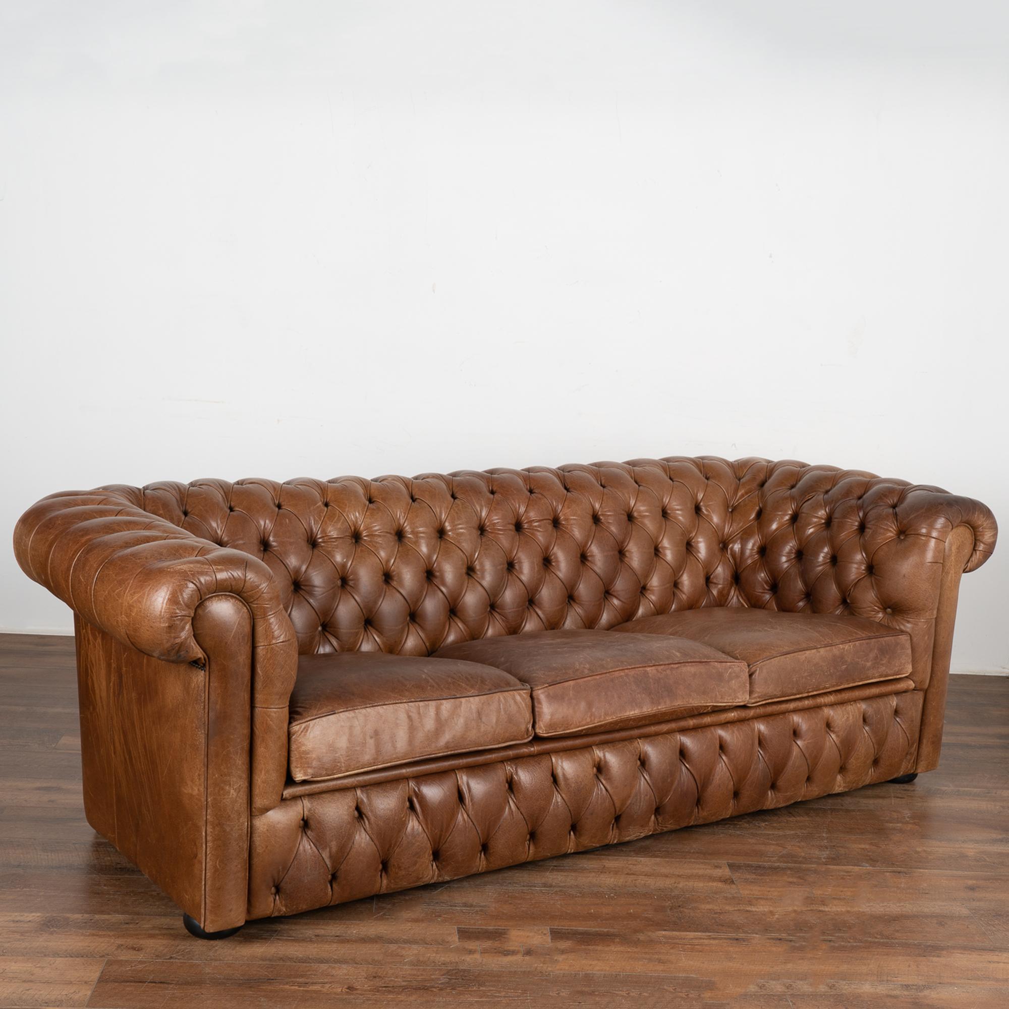 Loaded with character, this three seat sofa packs a vintage punch with the classic lines and tufted back of a classic Chesterfield sofa with self covered buttons and heavy rolled arms.
The vintage brown leather shows typical age related wear seen in