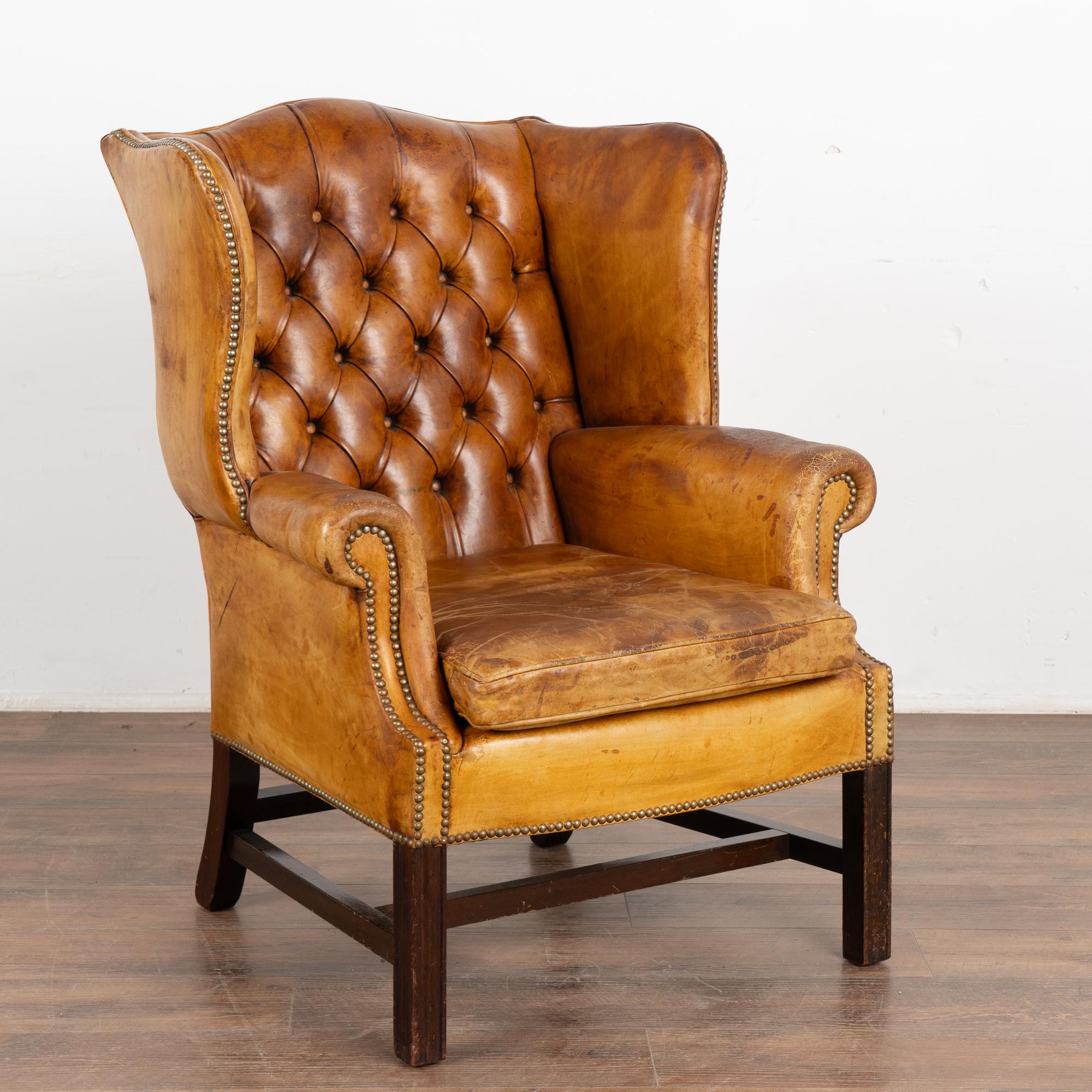 Vintage brown leather Chesterfield wingback club chair with aged patina.
Wings, rolled arms, block feet, buttons and nailhead trim in place. 
Aged leather reflects generations of use, seen in seat discoloration and throughout which creates the worn